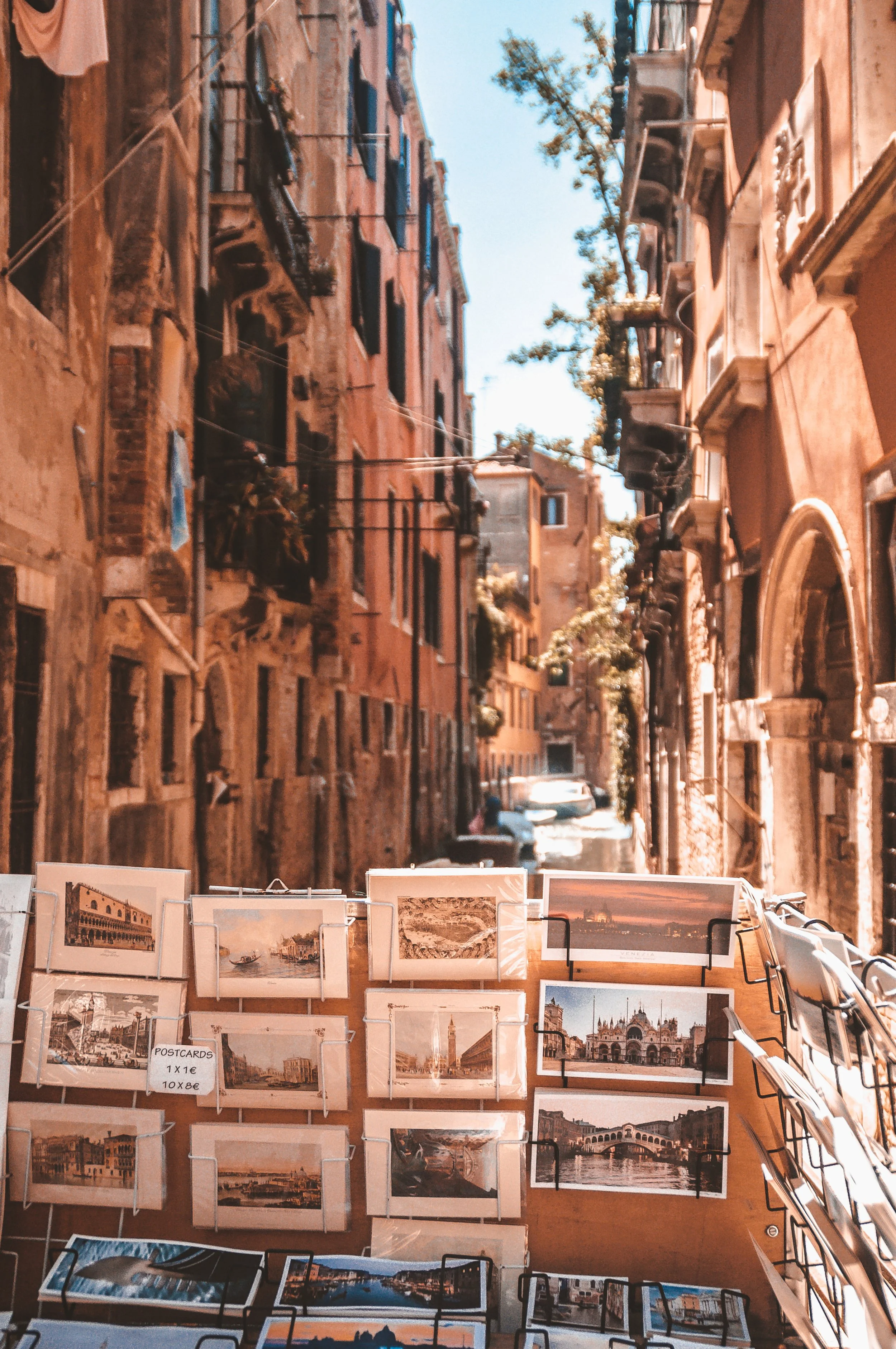 DSC_0351a (2)_ridim.jpg