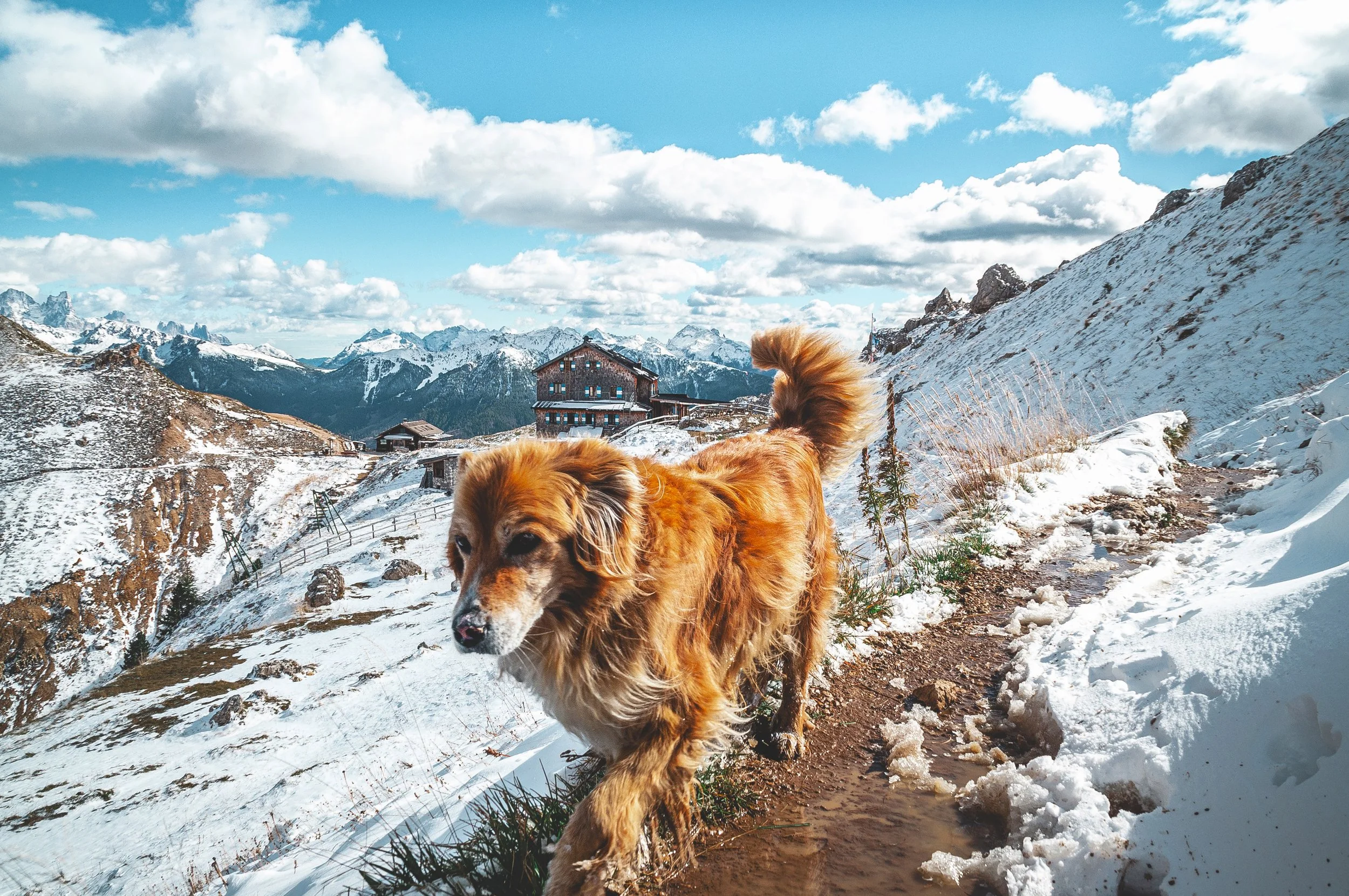 _DSC0057 (5)a copy.jpg