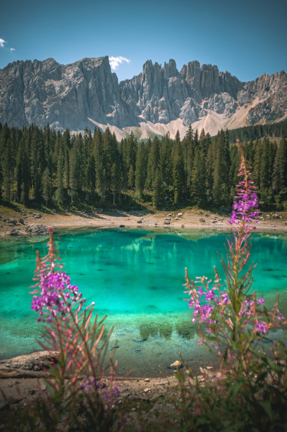 _DSC0028 (2)a copy.jpg