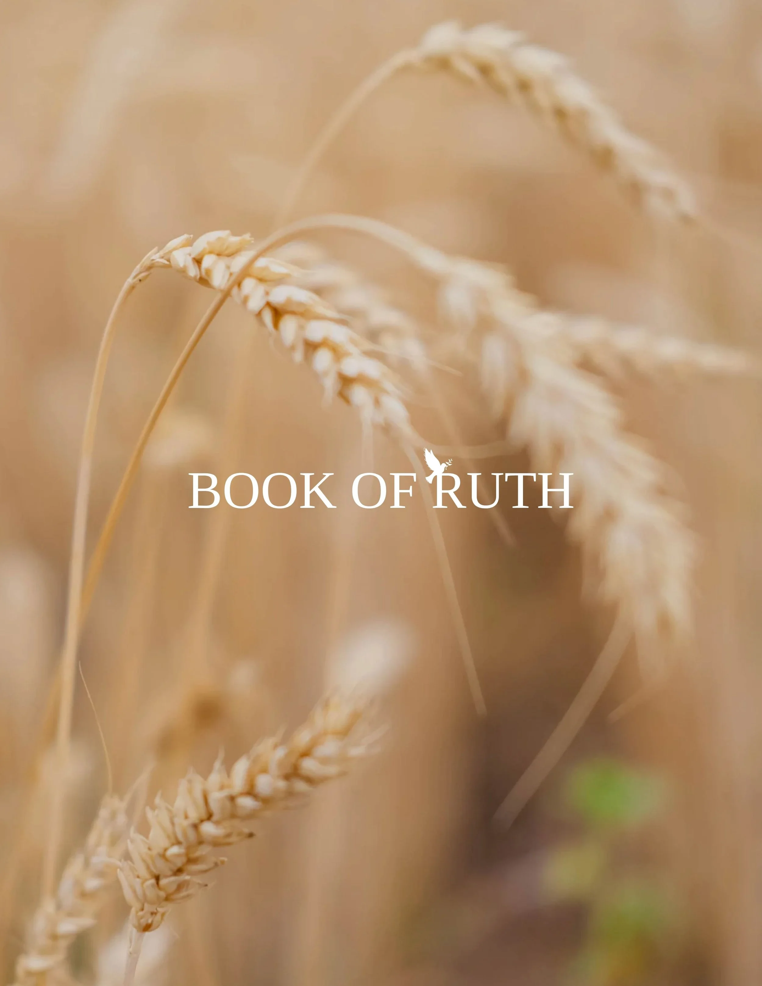 Book of Ruth Devotional: Fields of Redemption