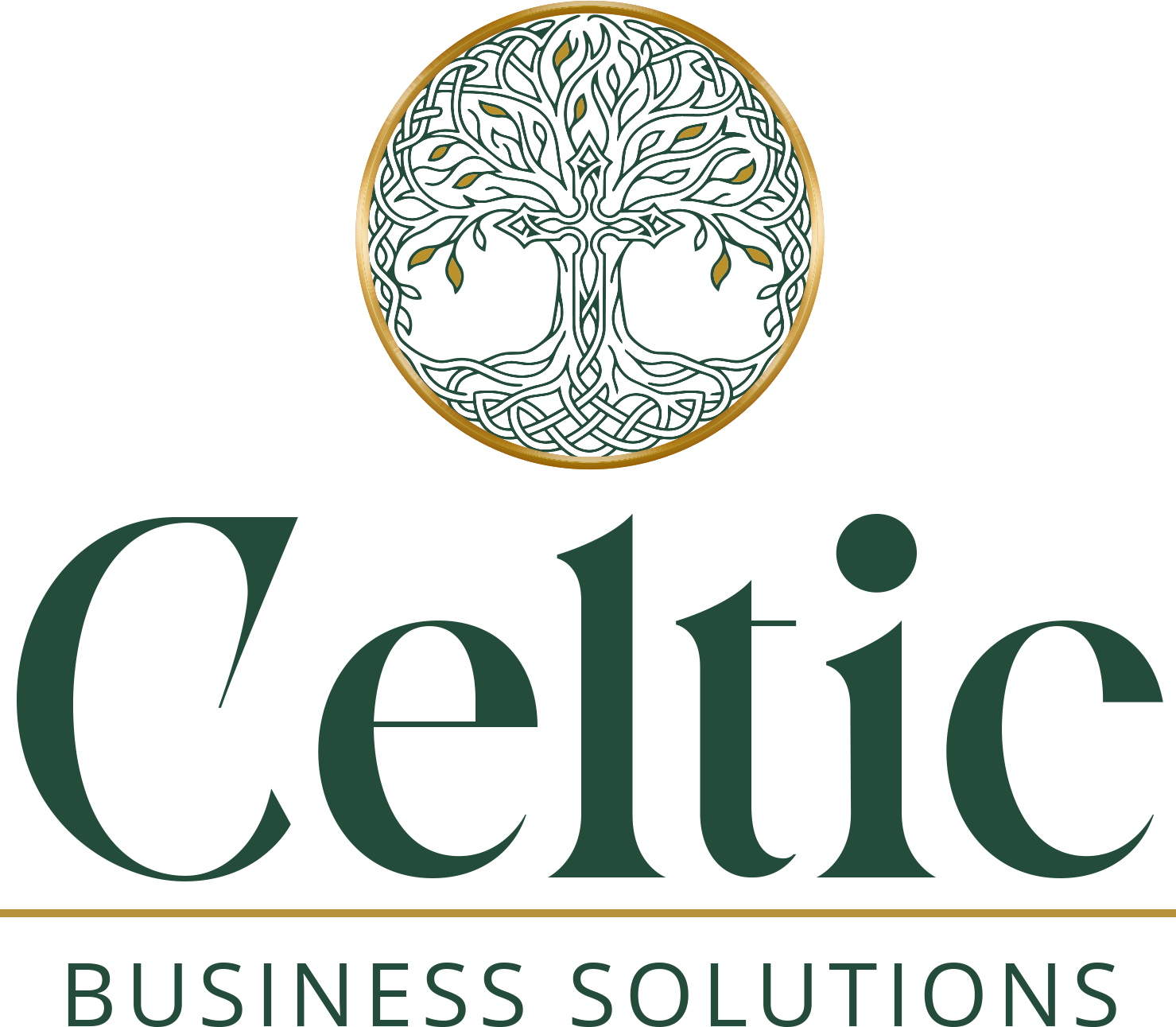 Celtic Business Solutions
