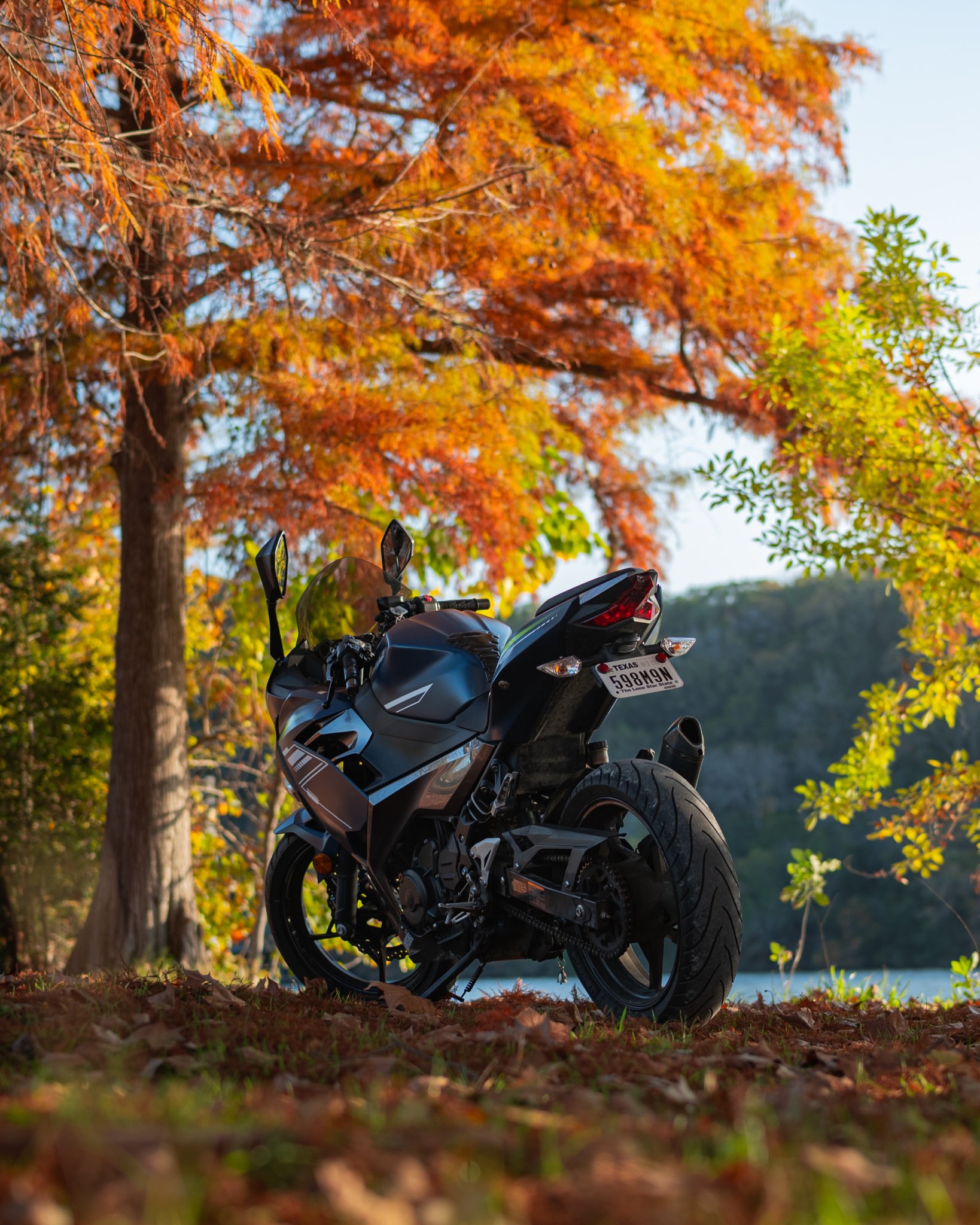 A motorcycle parked on a grassy ground covered with fallen autumn leaves, with trees having orange and yellow foliage and a body of water in the background.