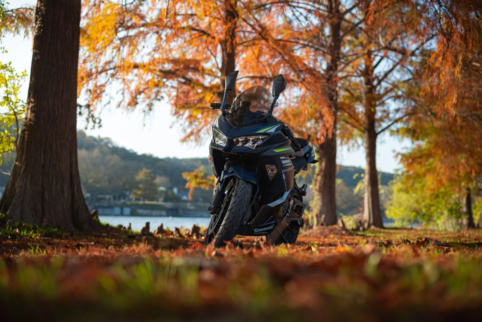 Fall Forrest Ninja 400 | December 2025