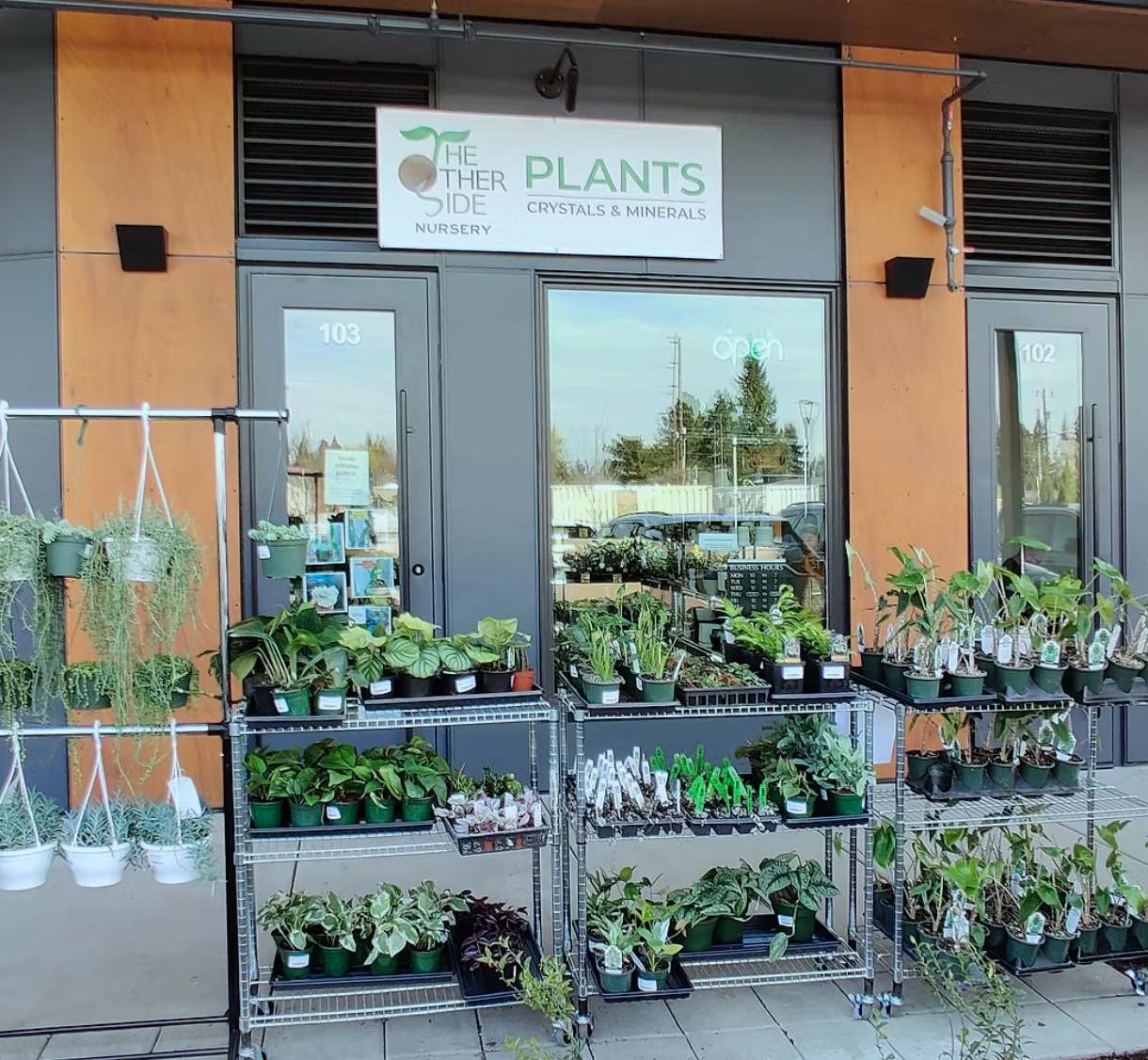 “The Other Plant Sale”