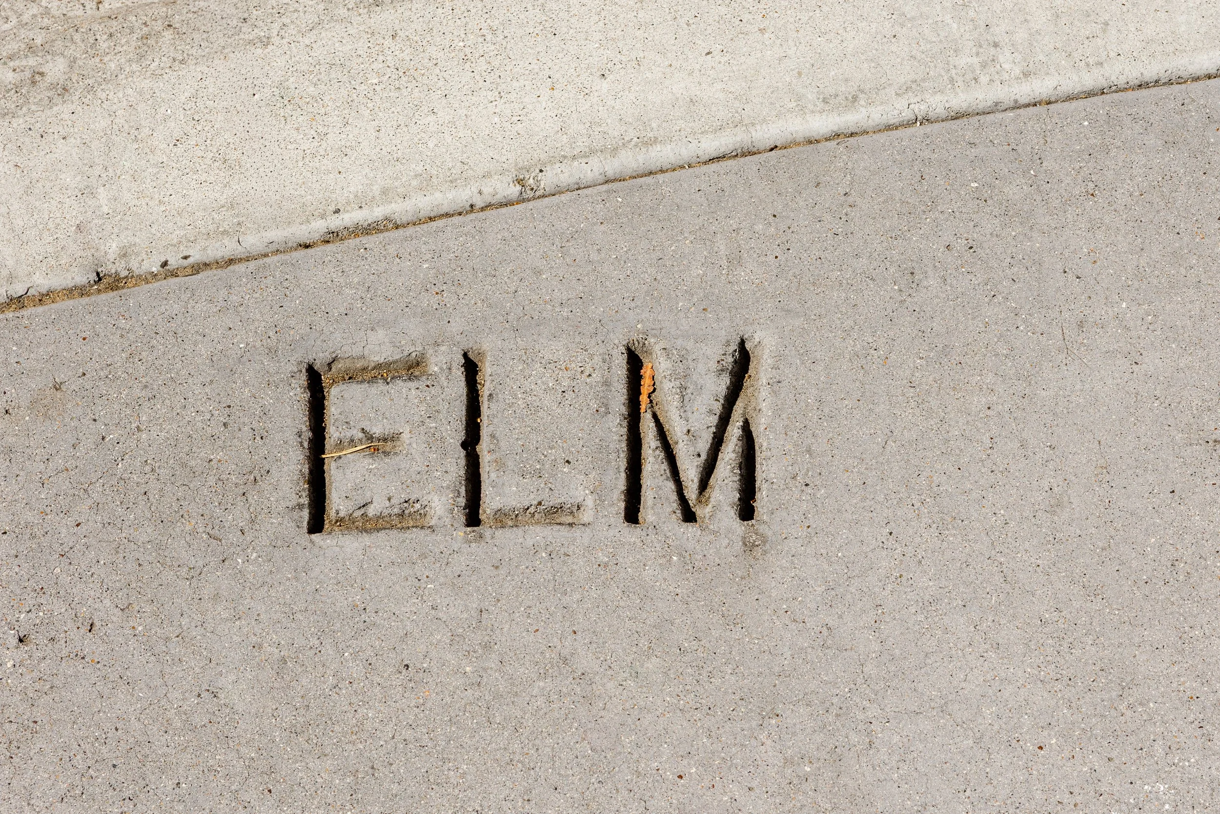 2026-Elm-Alley_7_0120.jpg