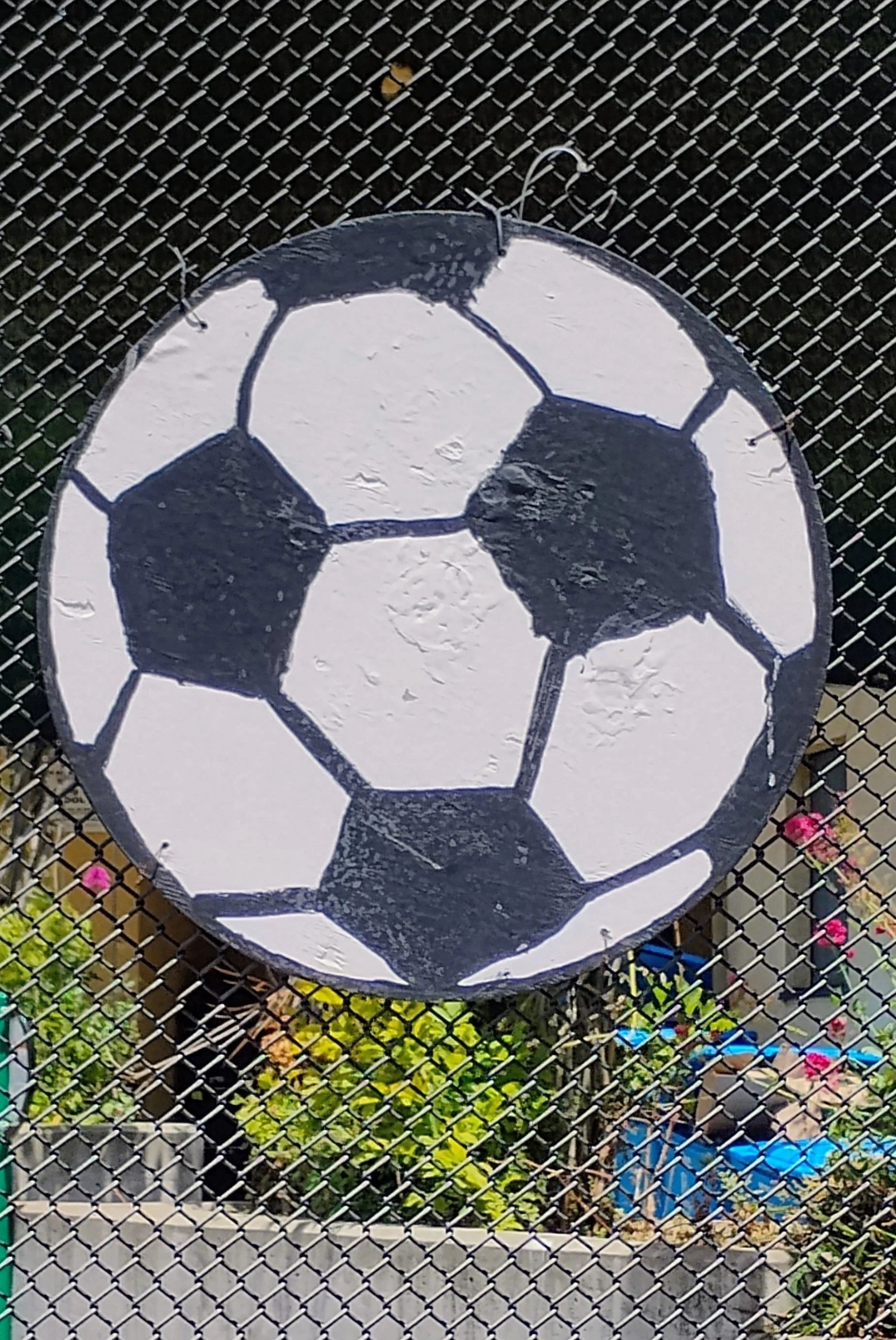 IMG_20260630_124223614_AE.jpg