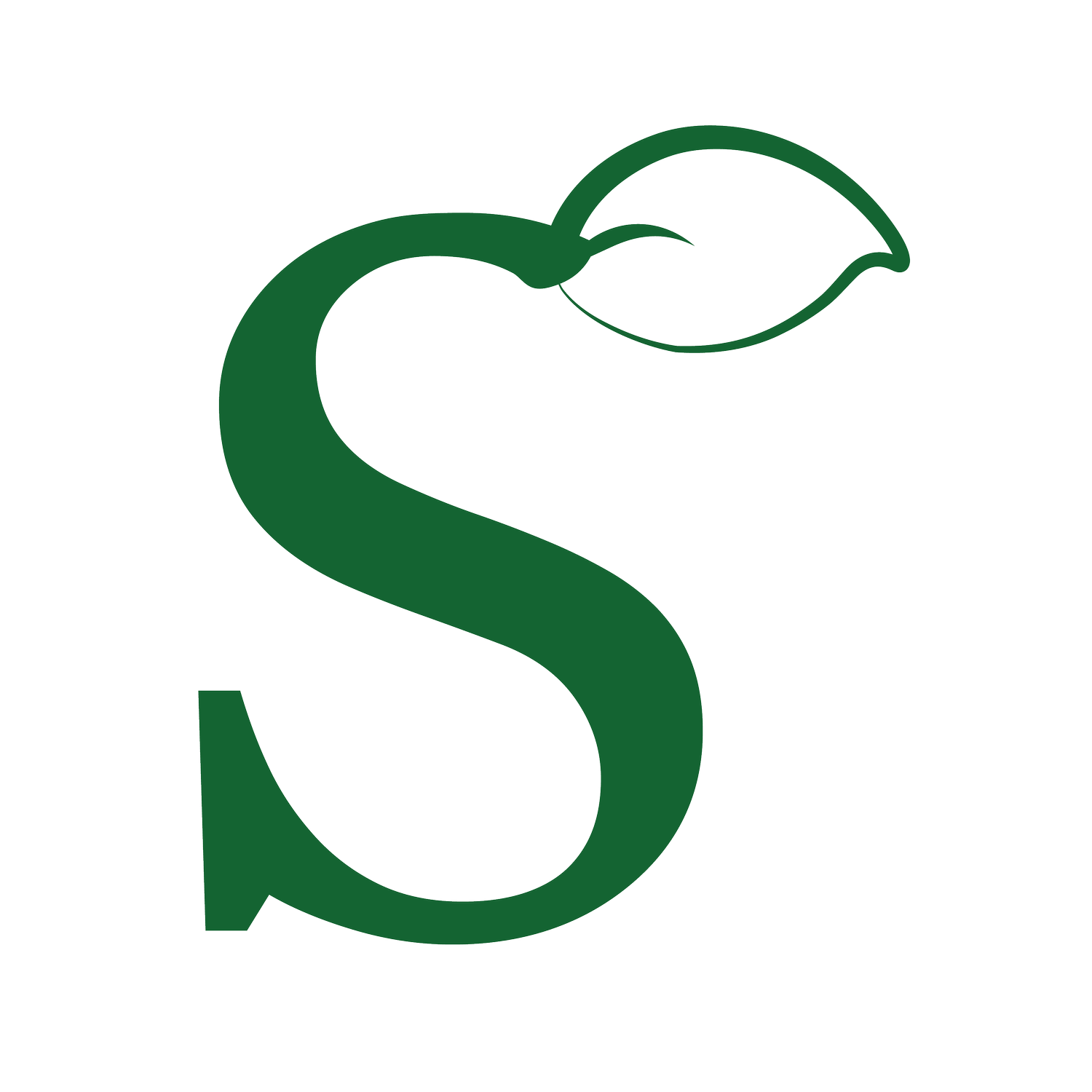 Sprouted Seeds Media