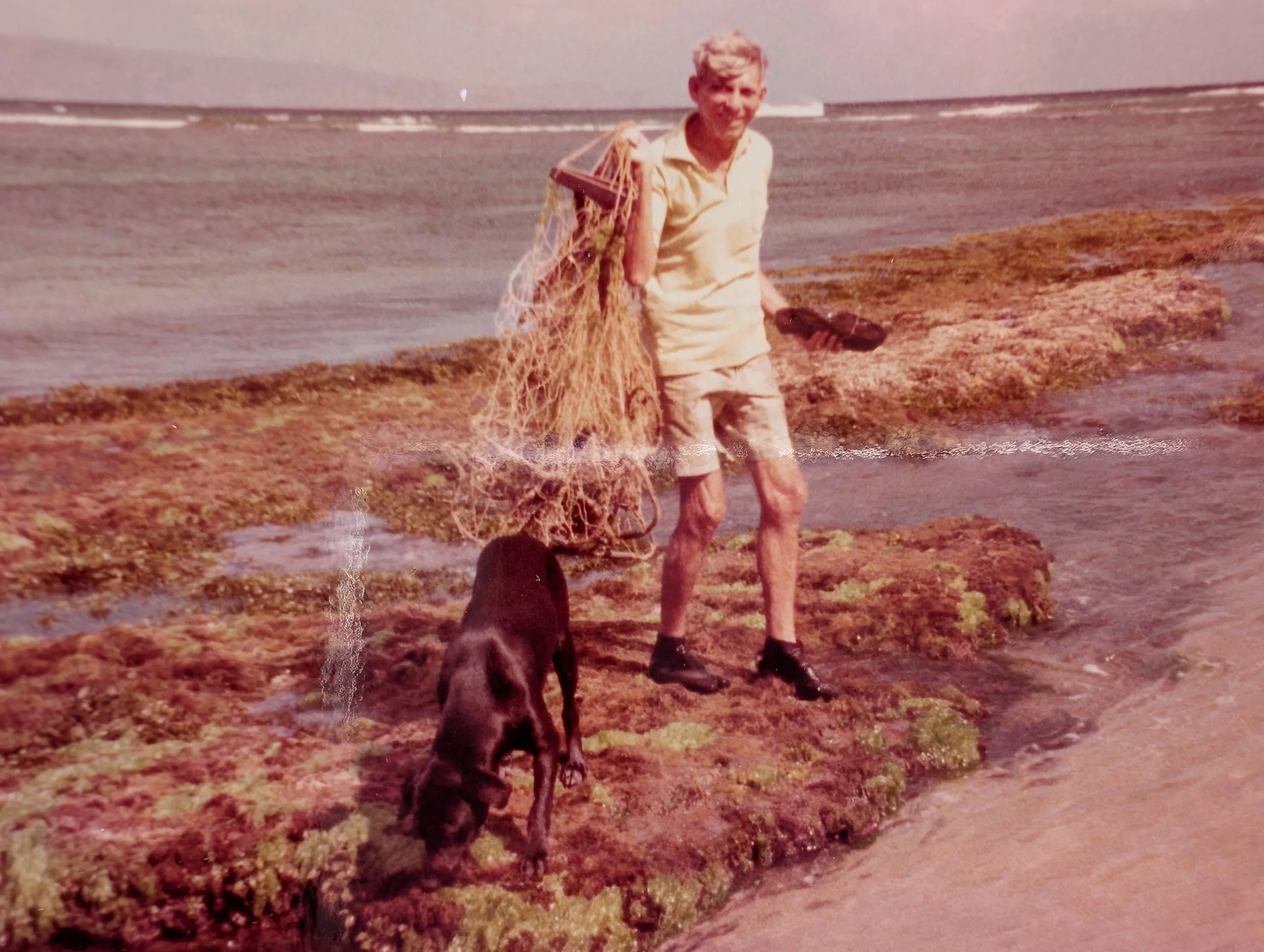 A man walking on a rocky shoreline holding a fishing net and a small shovel, with a black dog sniffing the ground nearby.