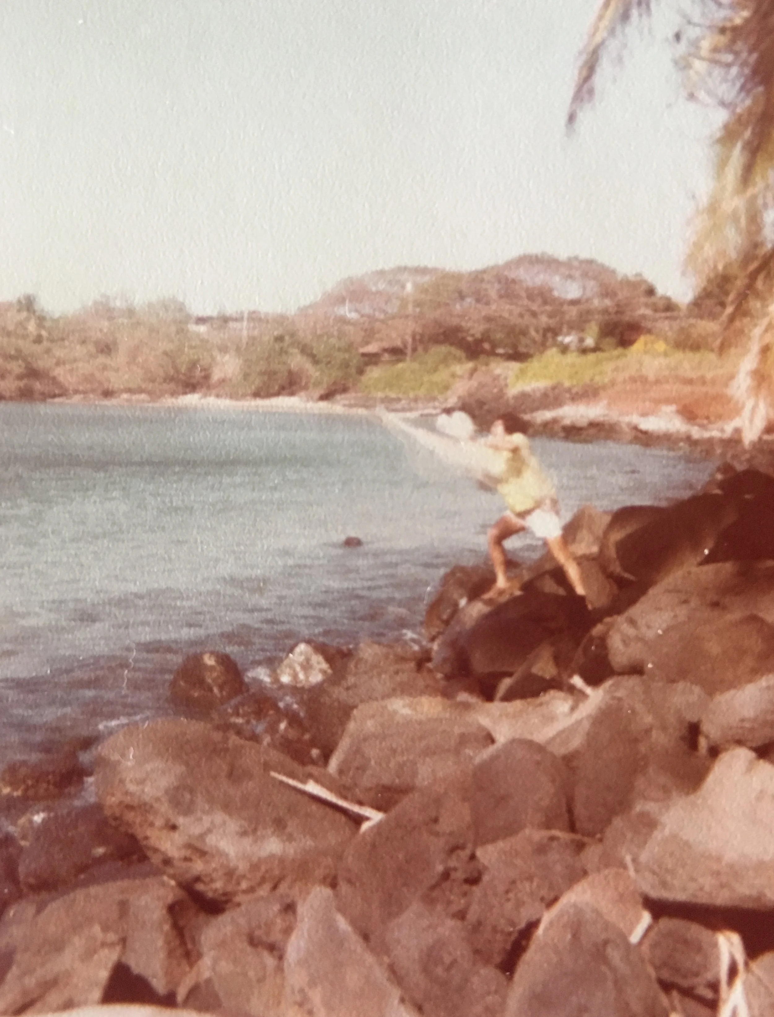 A person climbing rocks by a body of water with shoreline and trees in the background during daytime.