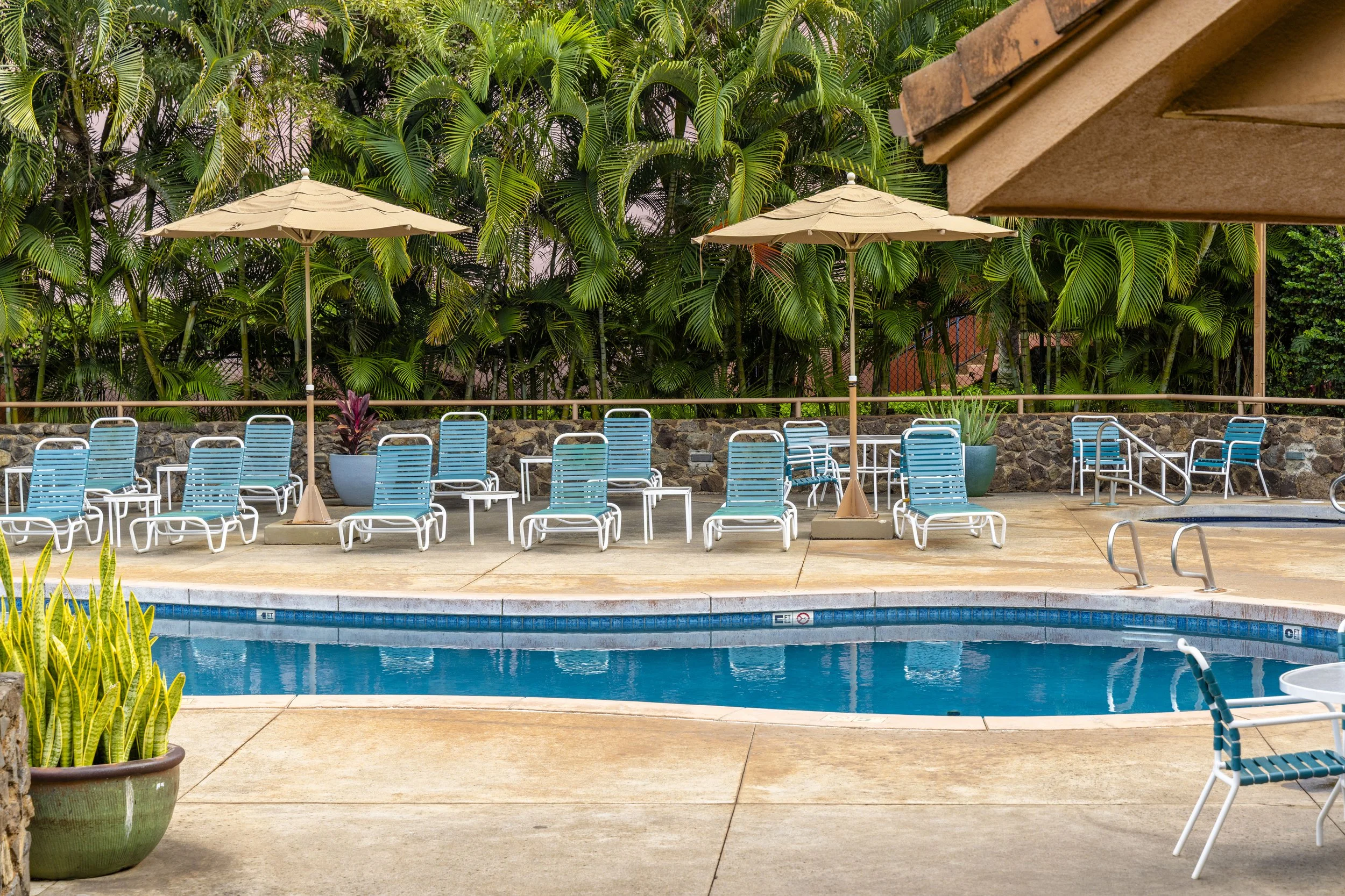 Empty swimming pool area with blue lounge chairs, umbrellas, and potted plants, surrounded by lush green tropical trees.