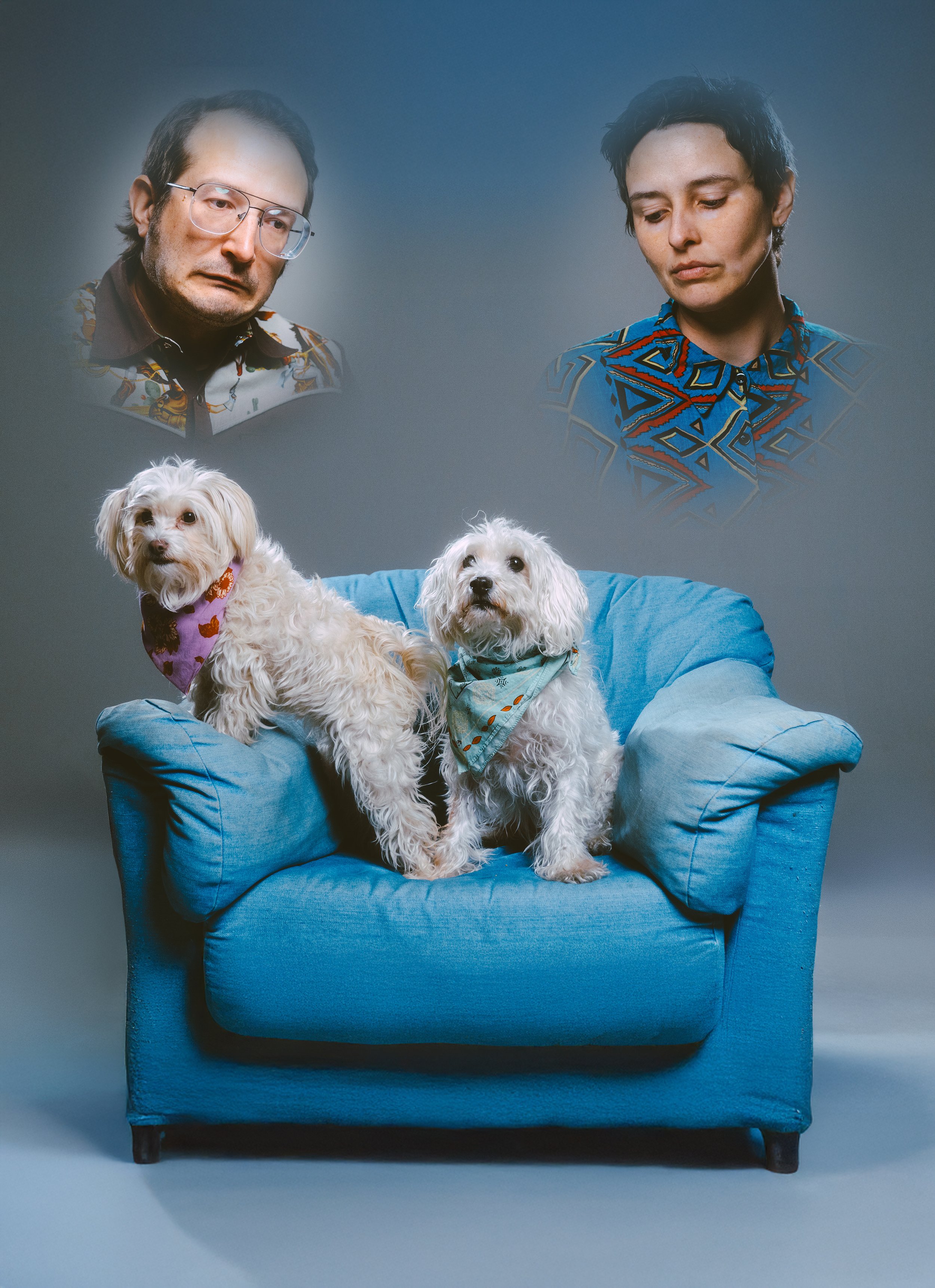 Two small dogs with bandanas sitting on a blue couch, with two men's faces appearing in thought bubbles above them.