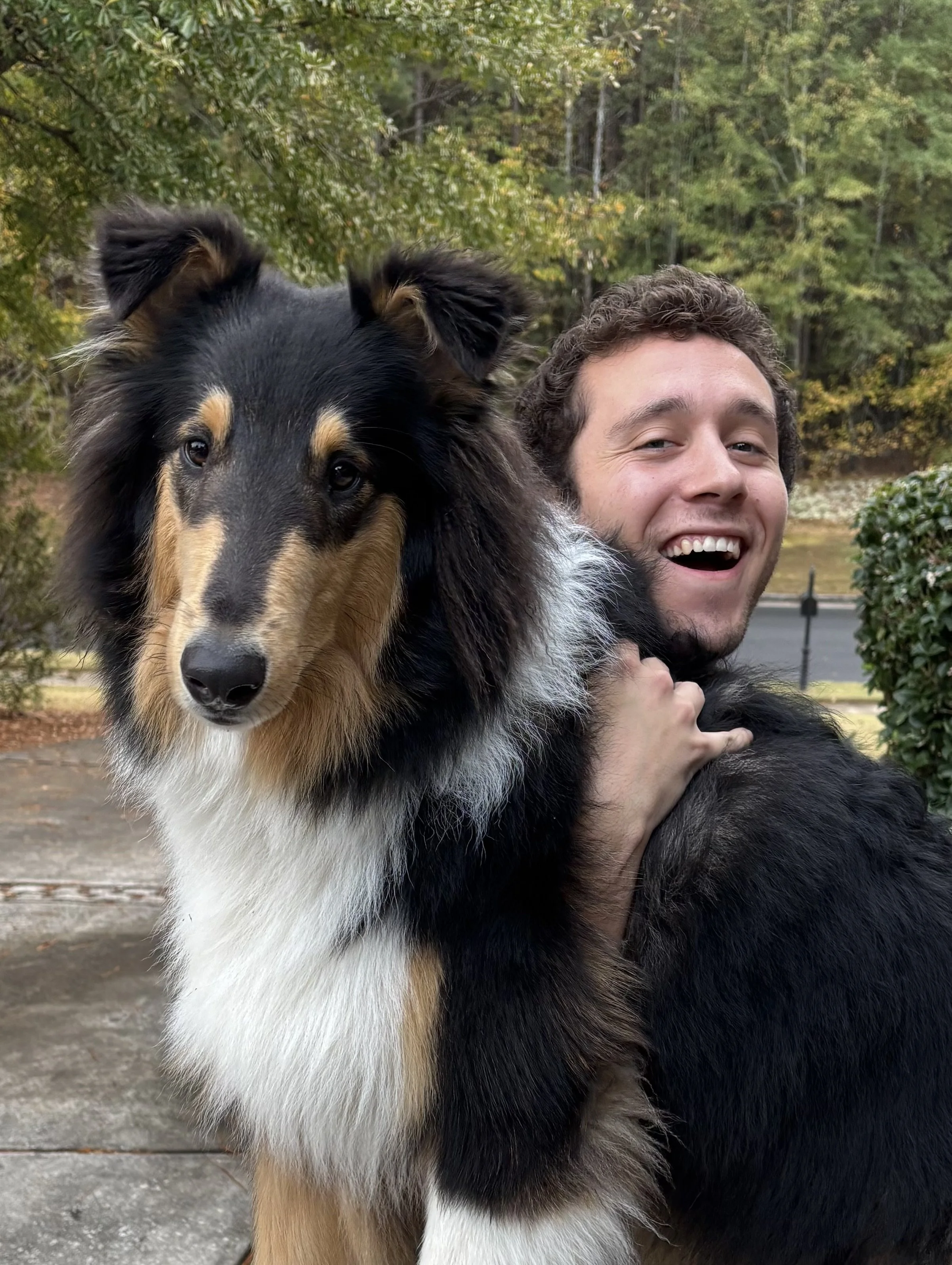 A man smiling happily while holding a large black, tan, and white Australian Shepherd dog outdoors with trees and bushes in the background.