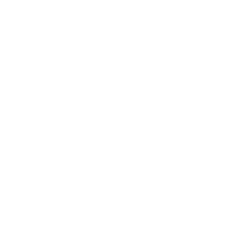 Personalized wellness program icon