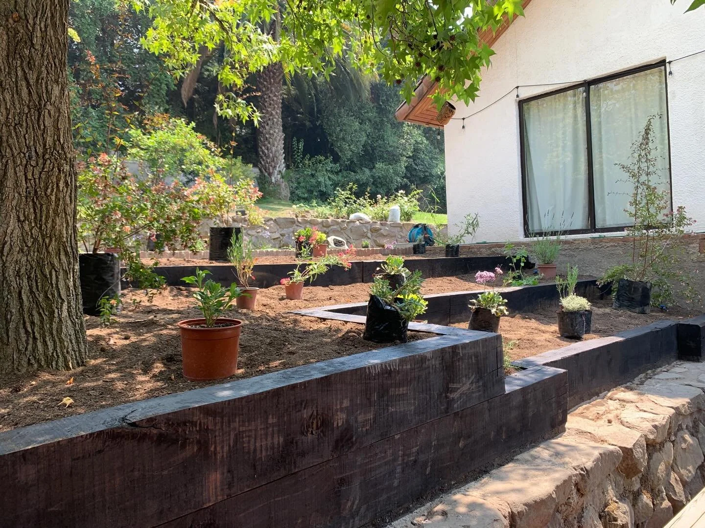 .
Aqu&iacute; le ganamos a la pendiente y a las ra&iacute;ces 💪🏽 

Mejoramos el suelo y ya plantamos. Con el riego tecnificado, pronto tendremos resultados muy lindos 🌱

Duermientes de @nativechilespa 🔥