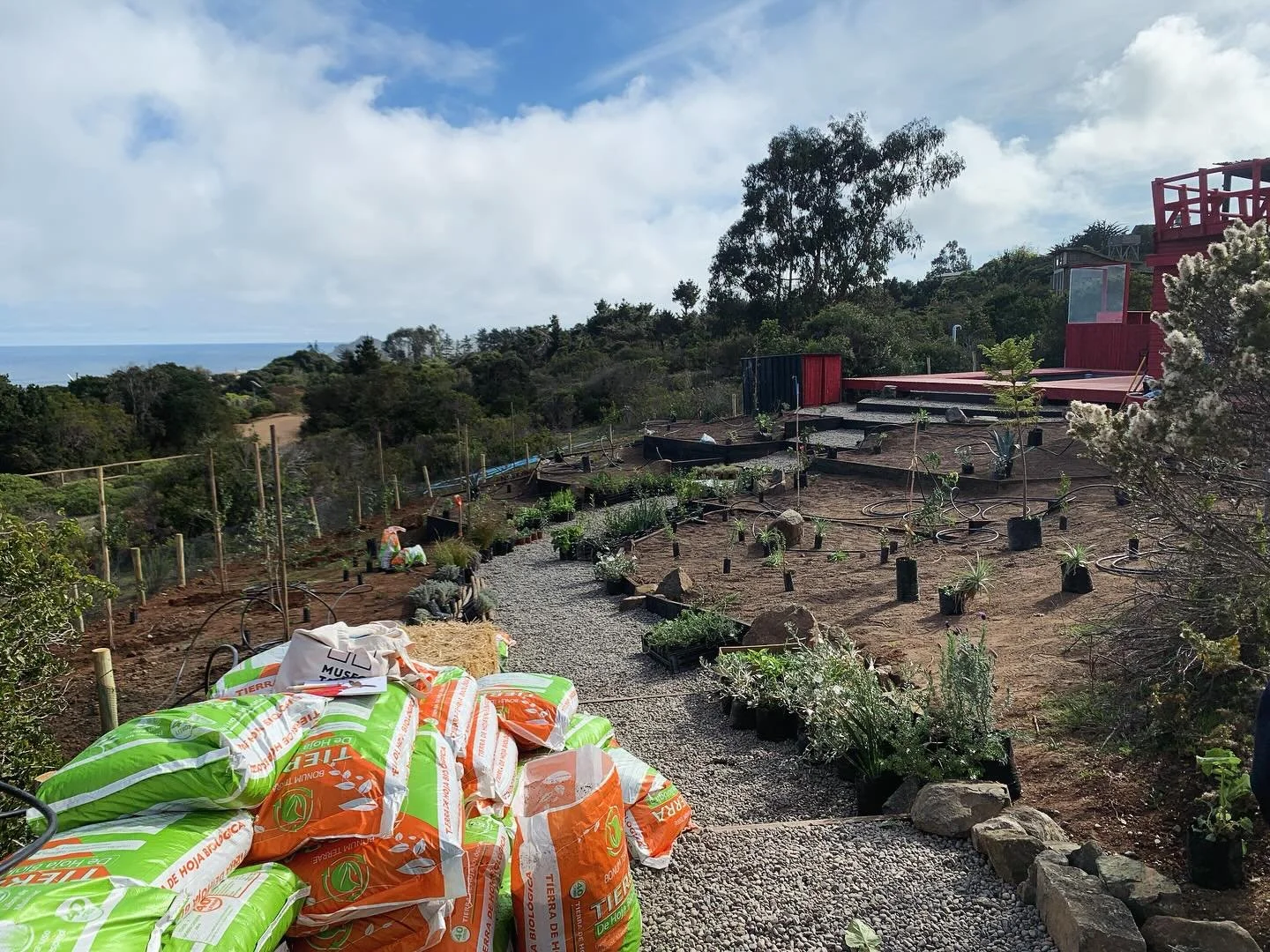 D&iacute;as de Plantacion ‼️🌱.

Y si, la mejor parte&hellip;. Semanas de trabajo en obras civiles, pero en 1 o 2 d&iacute;as todo se transforma.

Toda la planificaci&oacute;n, el dise&ntilde;o, los sue&ntilde;os, toman vida.

Para un buen resultado,