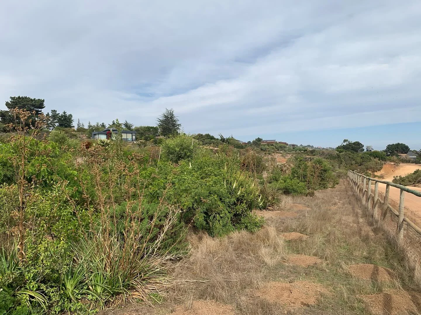 .
Somos expertos en Bosques Miyawakis 🌳 

Un concepto bastante usado &uacute;ltimamente, con muchas variables en como ejecutarlo.

Cada metodolog&iacute;a o idea debe ser adaptada al lugar y a los objetivos que se quieran cumplir.

En parcelaciones?