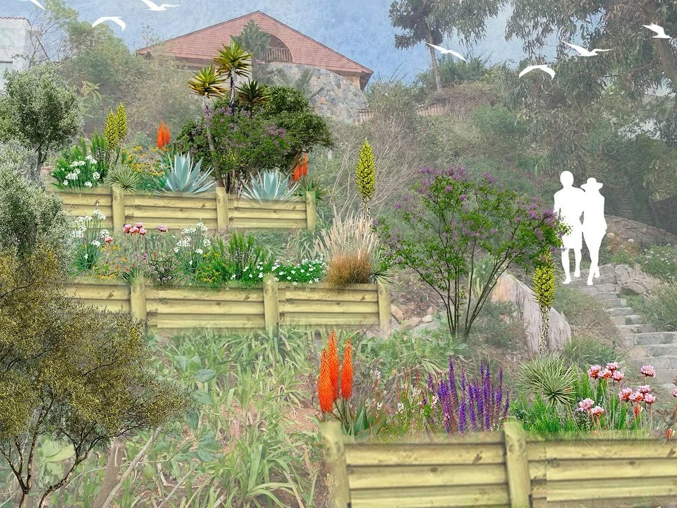 El proceso&hellip; ✏️ 

De la idea, al dise&ntilde;o, a la ejecuci&oacute;n 🙌🏽

La &uacute;ltima foto no refleja bien la explosi&oacute;n de vida y colores que tuvo este jardin a los pocos meses de plantado 🪴