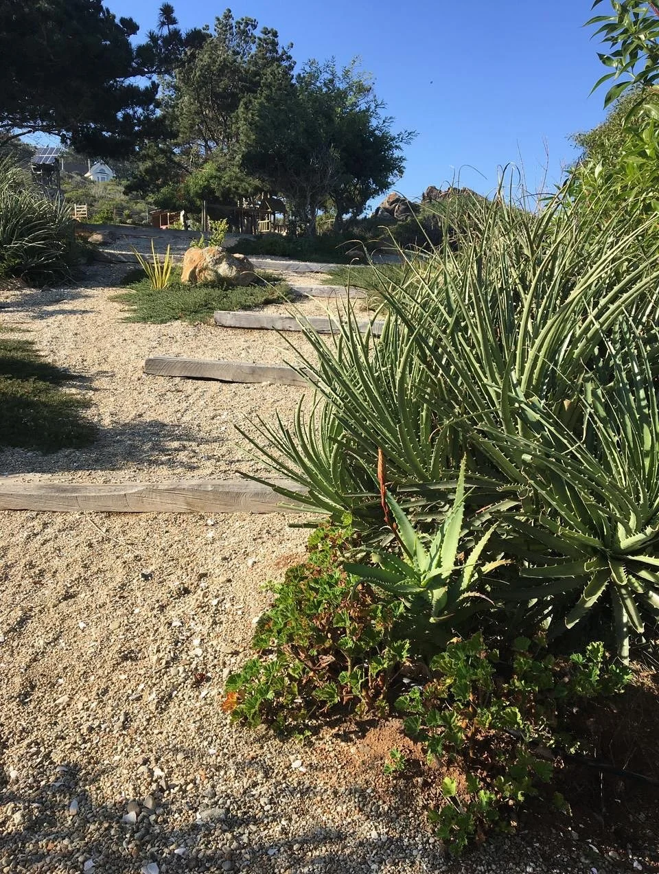.
Jard&iacute;n en Tunquen 🌊 

Siempre buscamos la naturalidad. Integrar el paisaje existente con el proyecto nuevo.

Darle vida al espacio, y que ese espacio, sea funcional. Es decir, que el dise&ntilde;o invite naturalmente a estar ah&iacute;. 

U