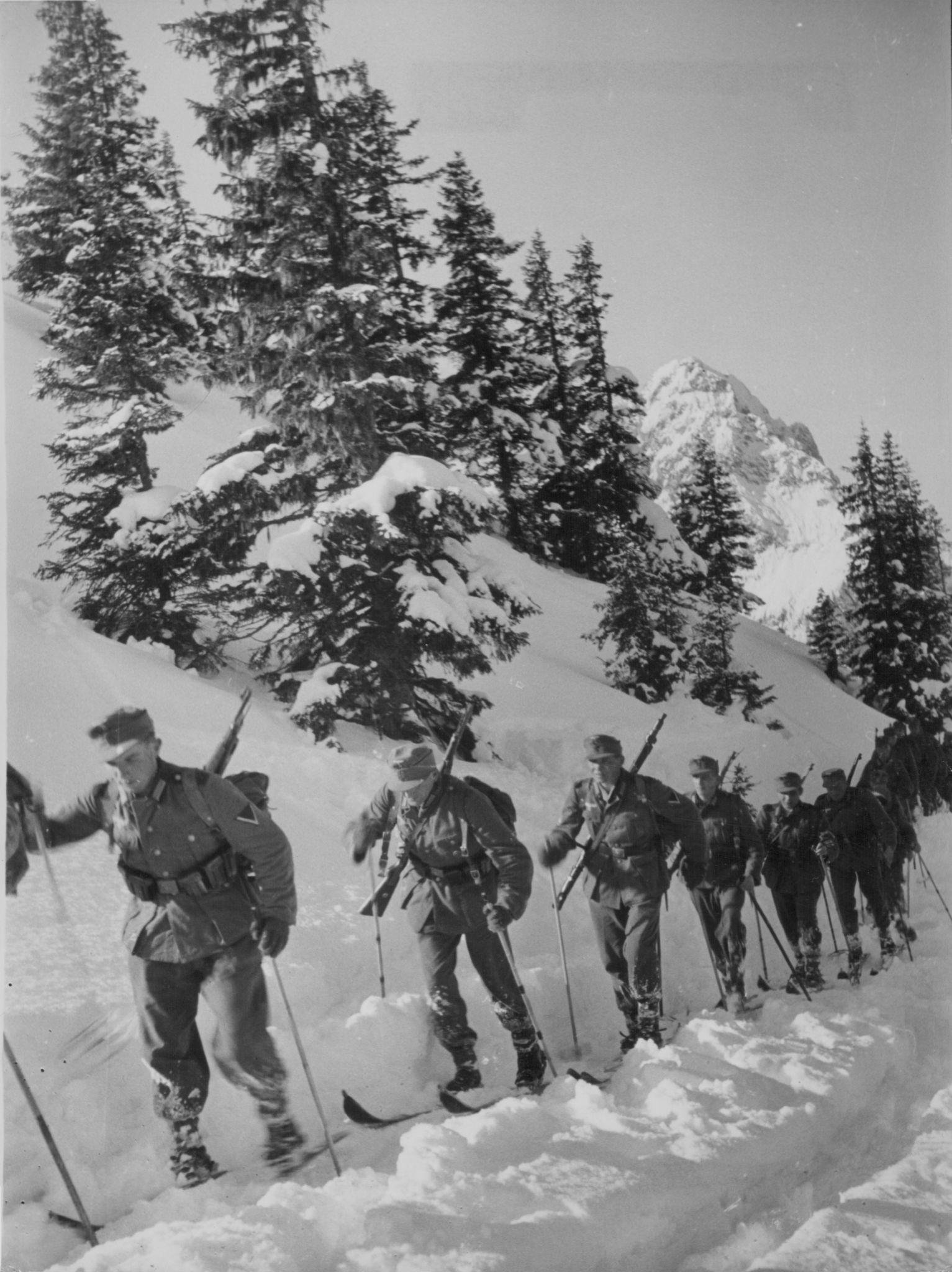 A group of soldiers skiing in a snowy mountain landscape with tall evergreen trees and rocky peaks in the background.
