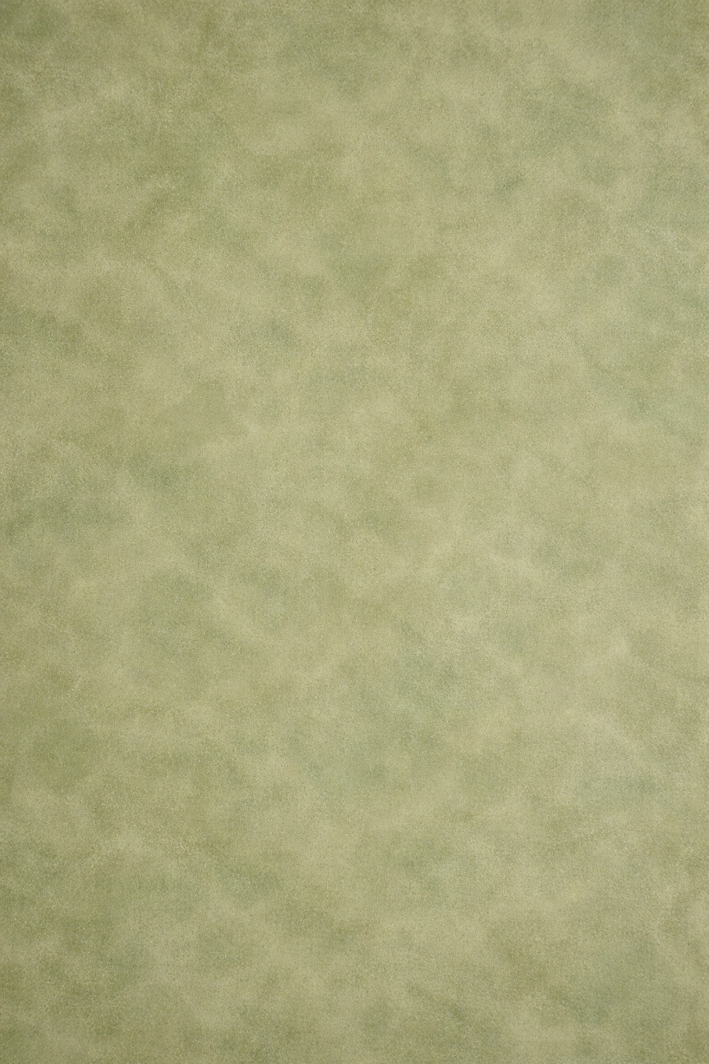 AE888C55-FBA3-4129-A24D-8364ABD3F918.PNG