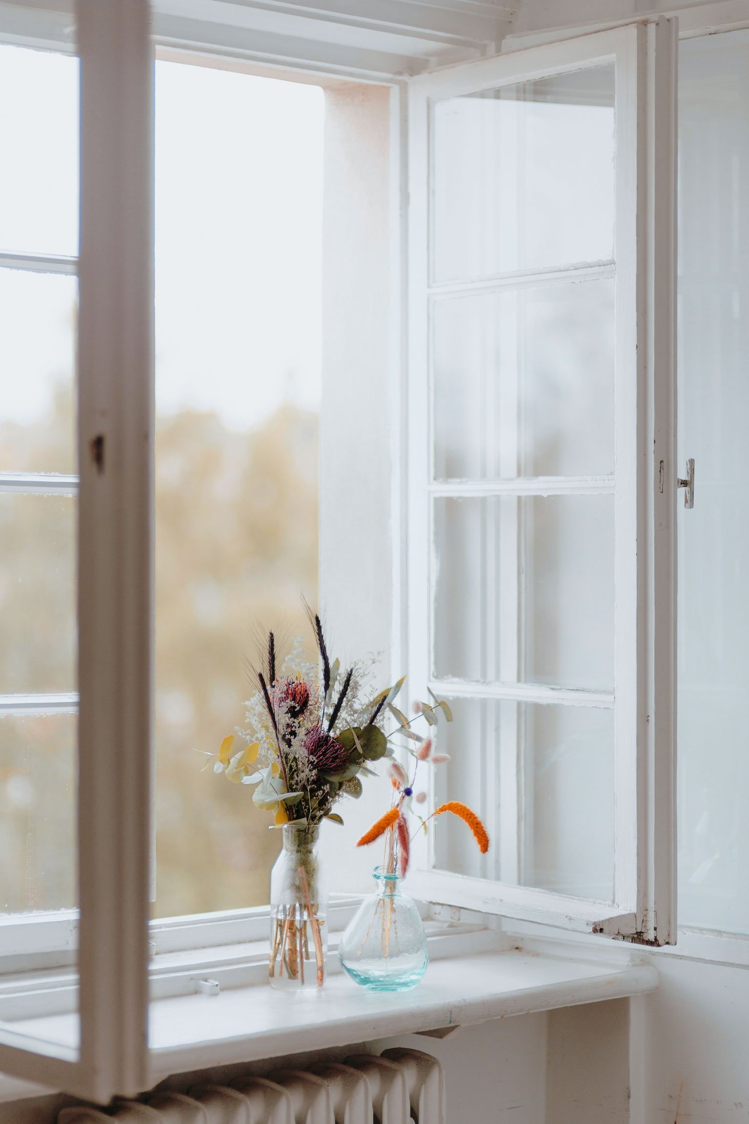 Dried wildflowers in glass vases on a bright white windowsill with an open window overlooking a soft outdoor scene