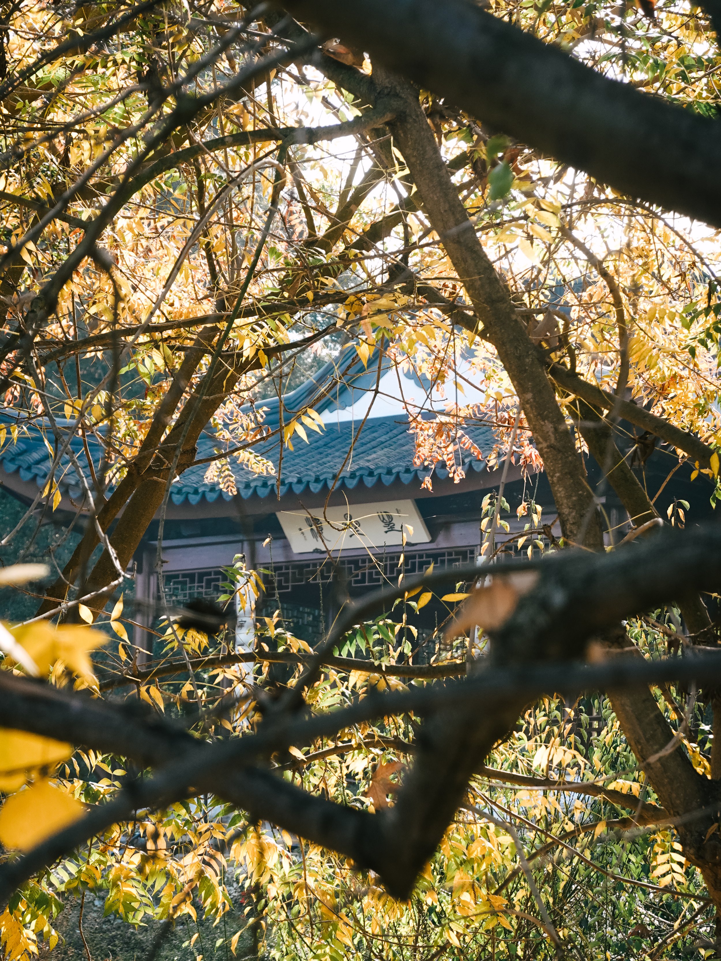 The Huntington Library