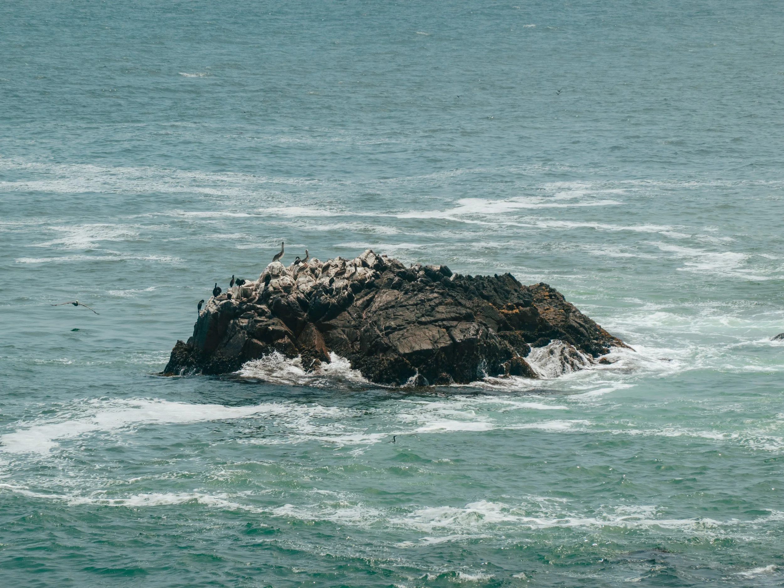 Ensenada, MX