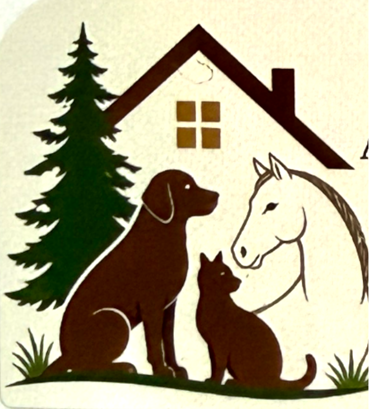 Weatherford Pet and Home Sitting