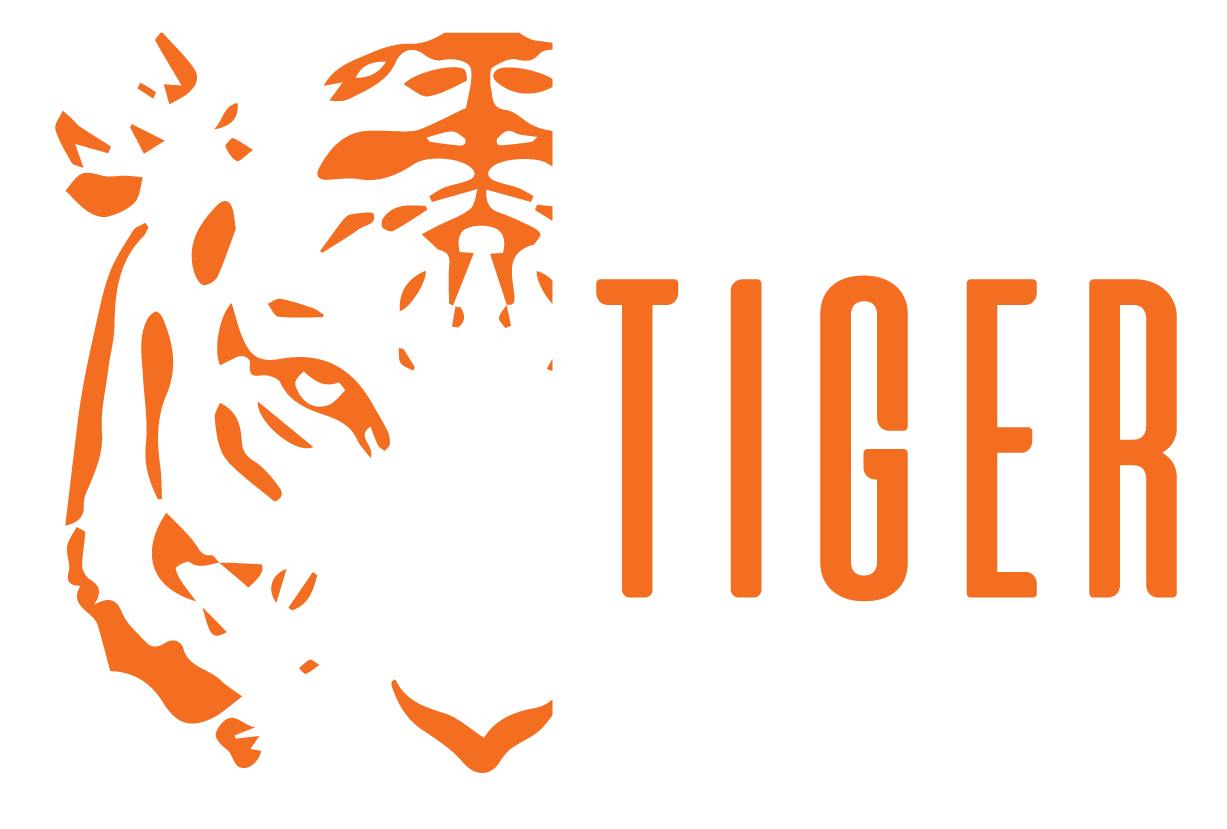 Bashful Tiger Music