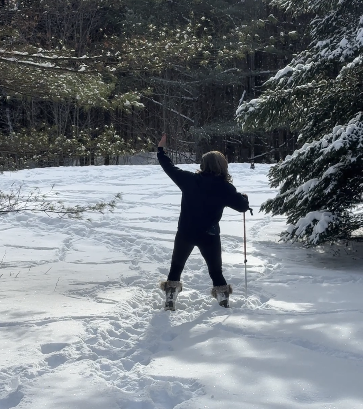 Ski Pole Dance Walking — Keep the Practice Going All Winter Long