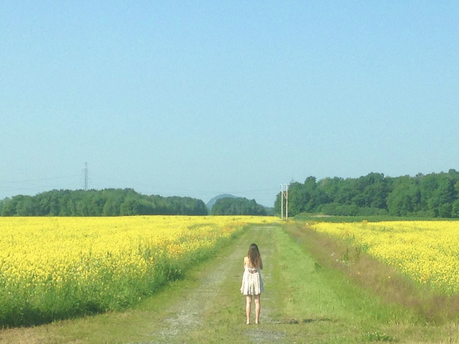 On the road