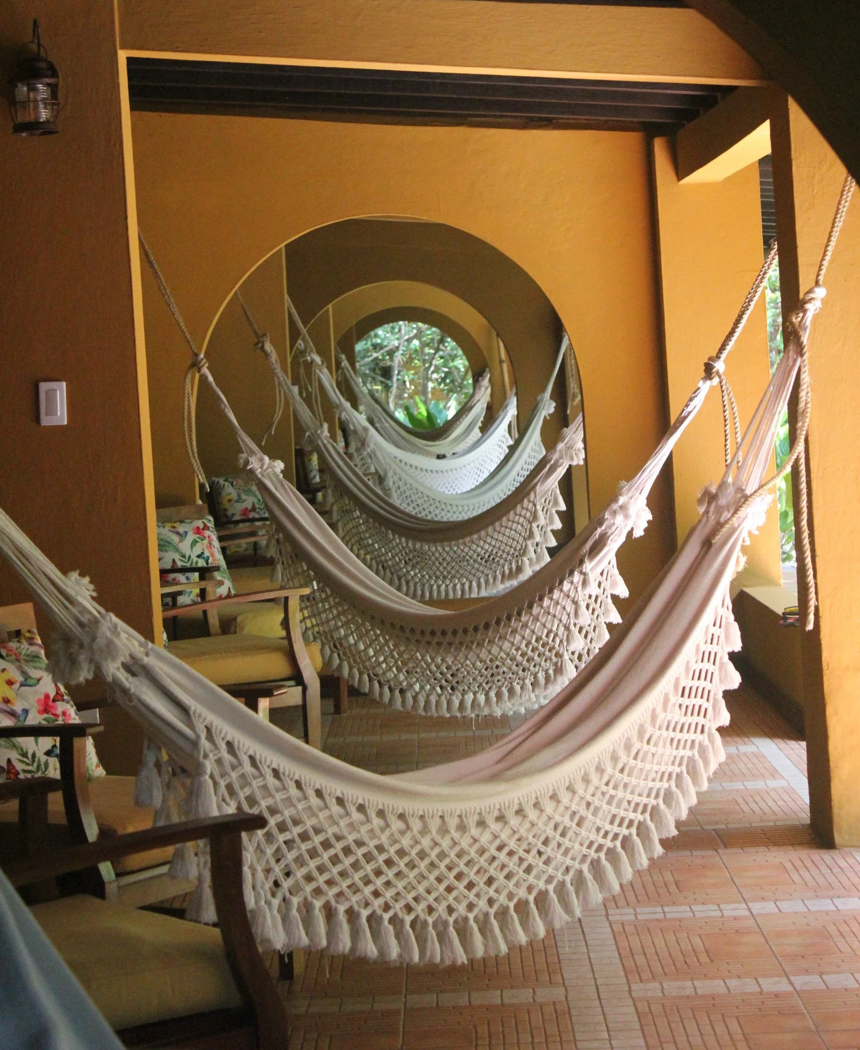 IMG_5898.png