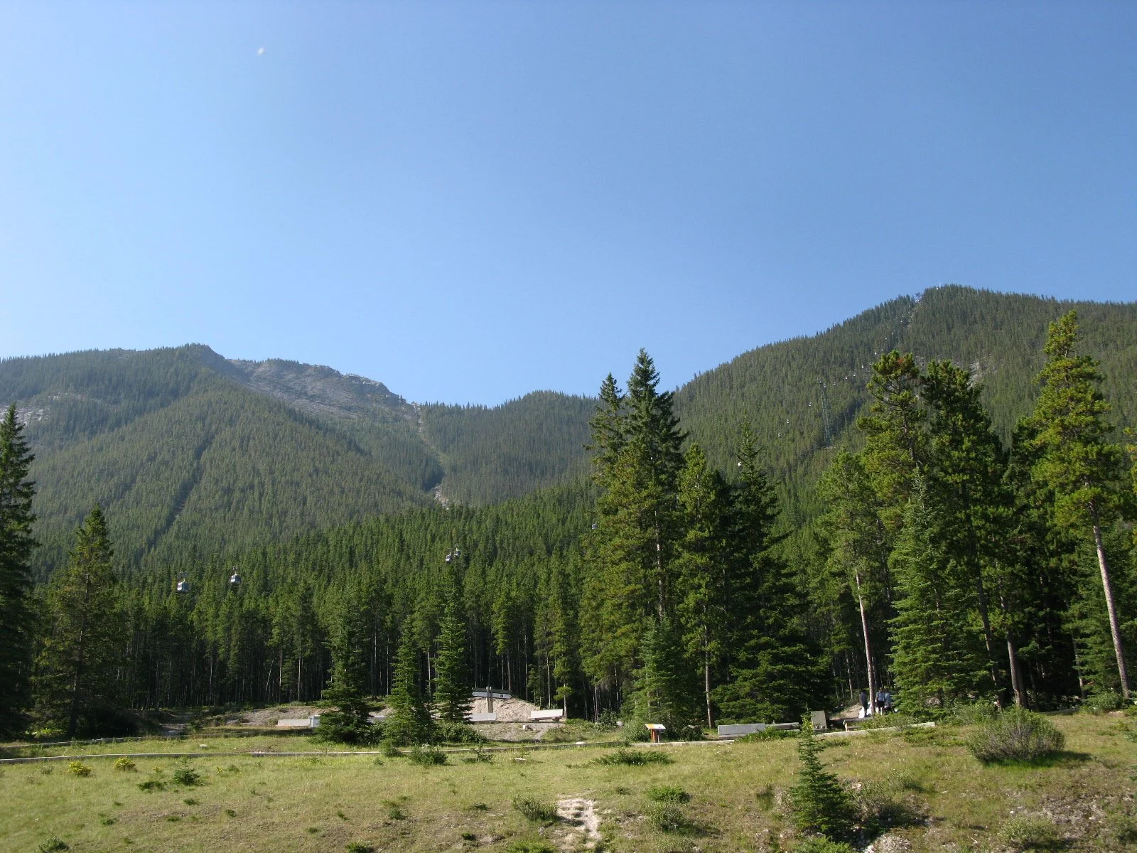 IMG_5598.JPG