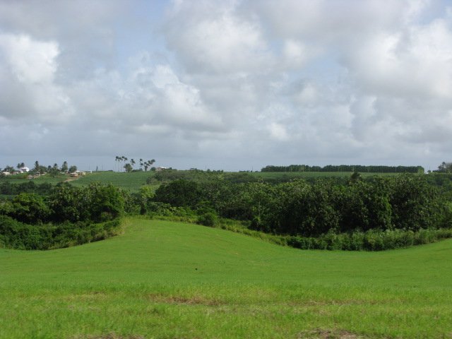 IMG_0801.JPG