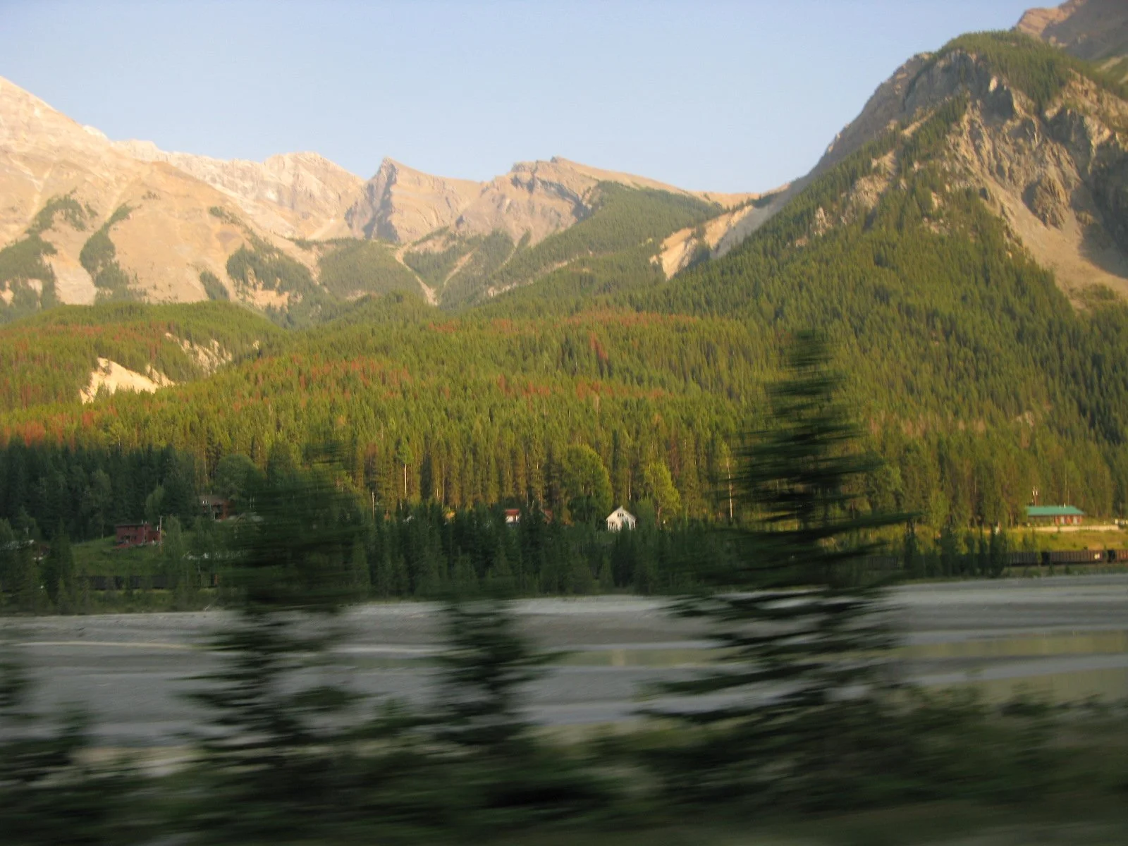 IMG_5526.JPG