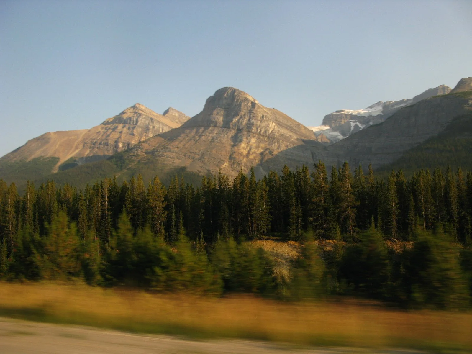 IMG_5566.JPG
