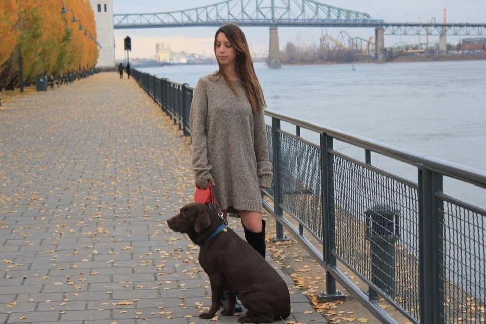 Autumn in Montreal