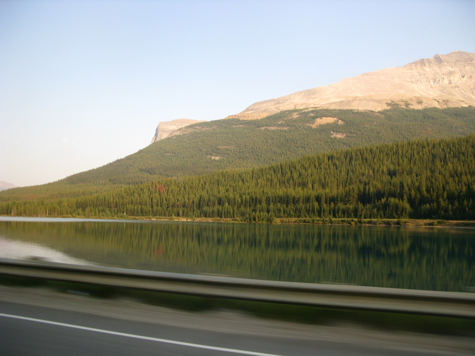 IMG_5554.JPG