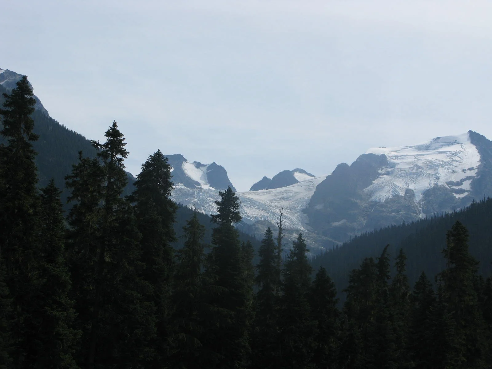IMG_4471.JPG