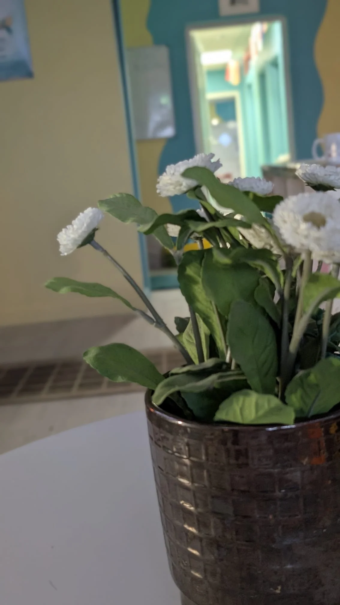 WhatsApp Image 2026-03-25 at 20.57.52.jpeg