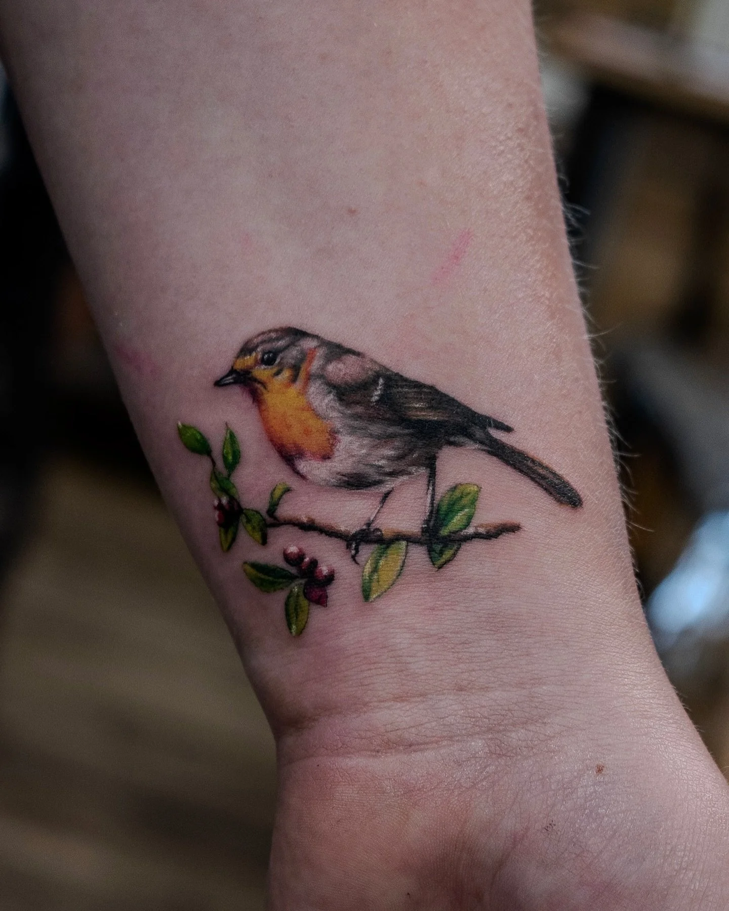 Tattoo of a small bird, possibly a robin, perched on a branch with green leaves and red berries.