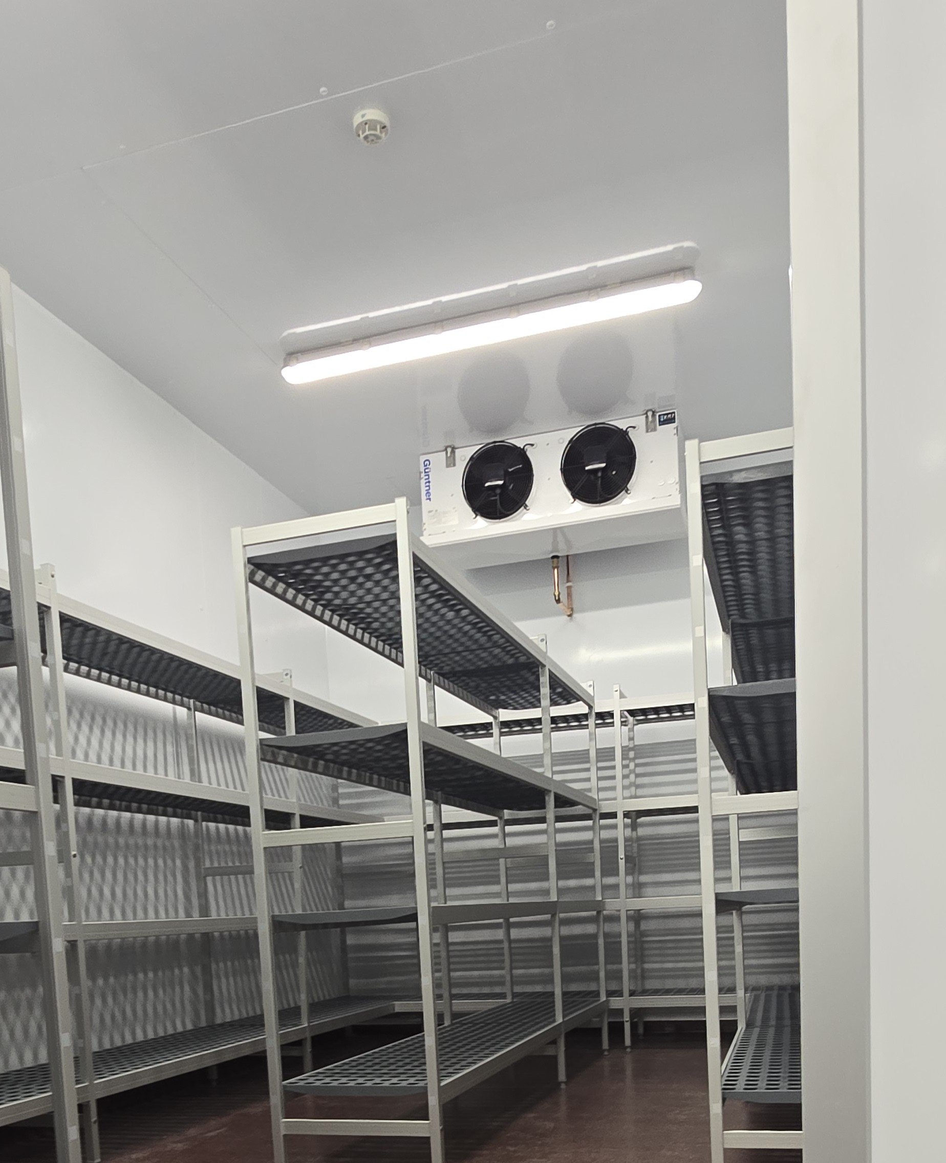 Cold room installation with cold room shelving for meat and vegetables, flowers storage
