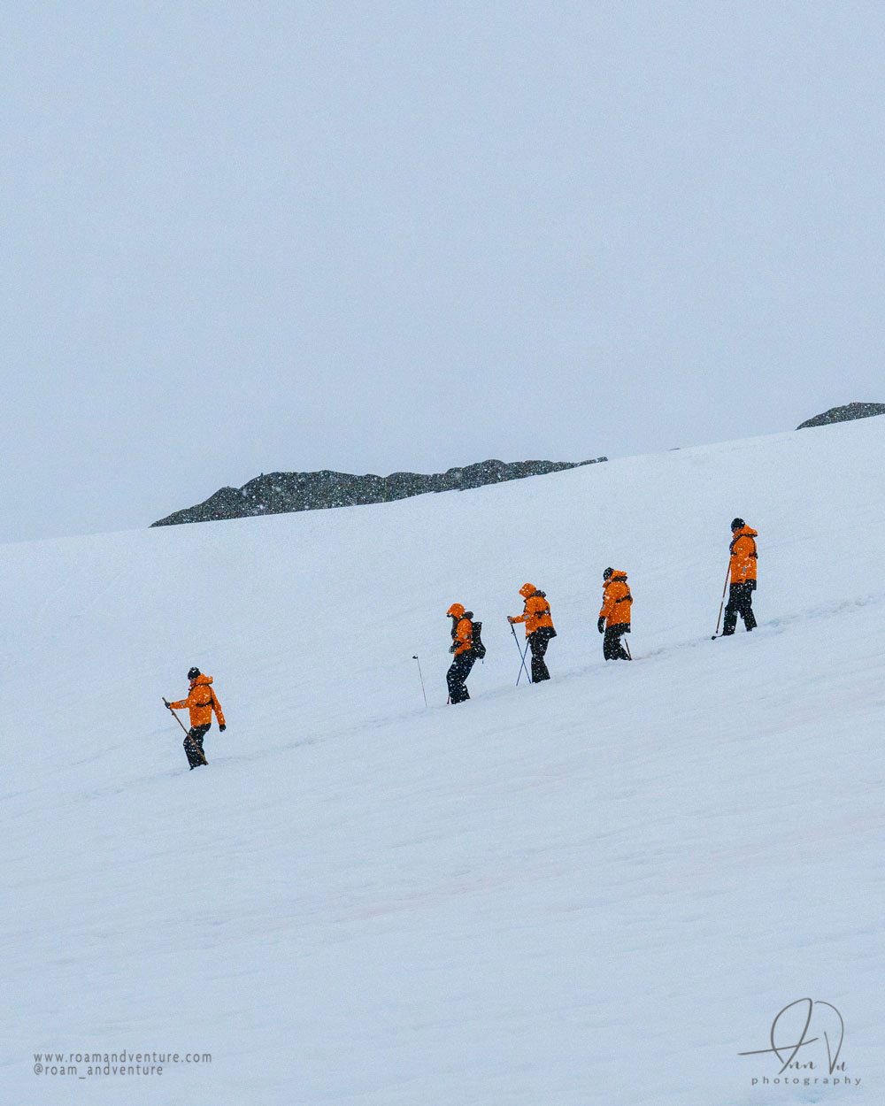 roamandventure.com davis island antarctica expedition cruise walking on antarctica