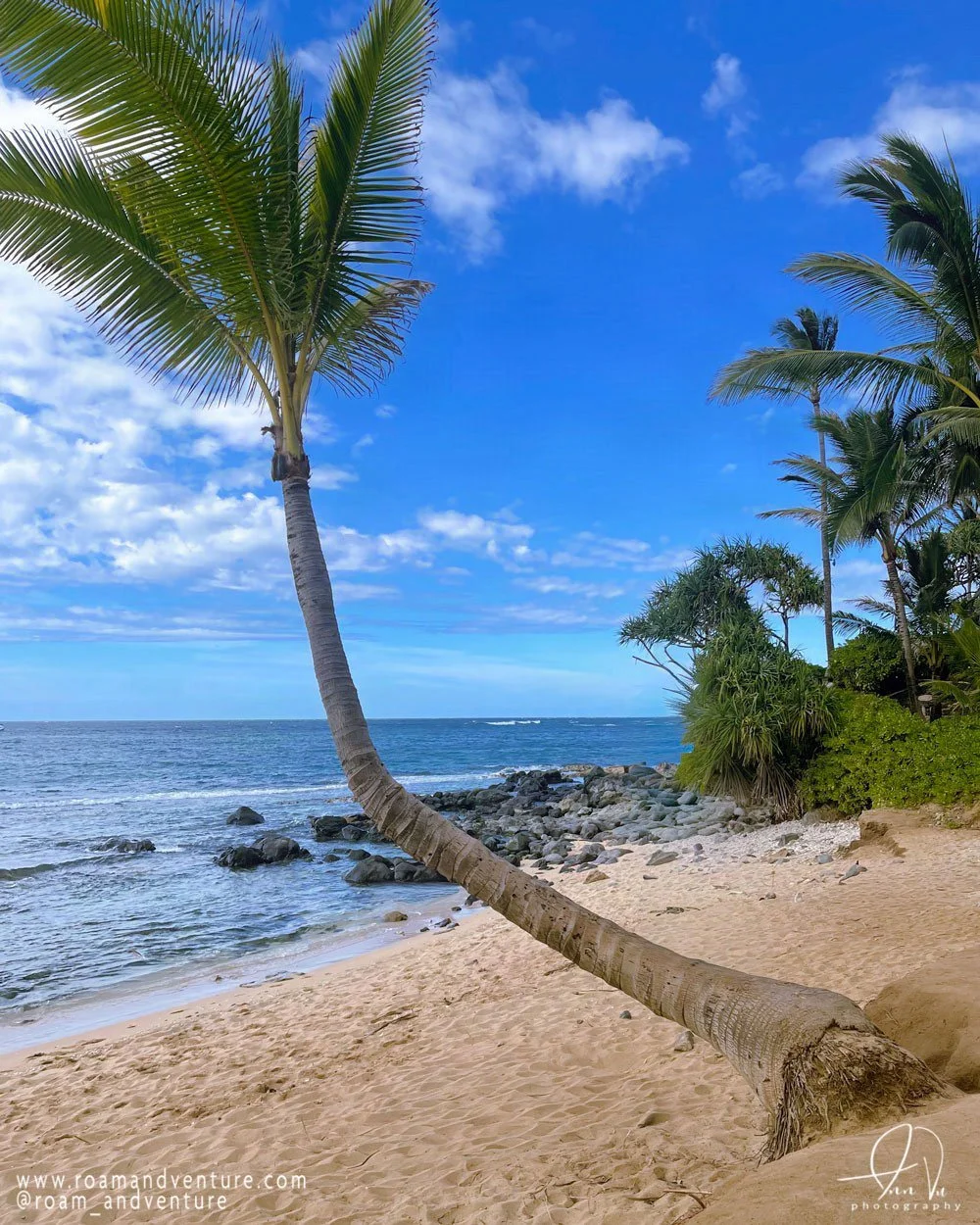 roamandventure travel maui hawaii beach paradise coconut beach 