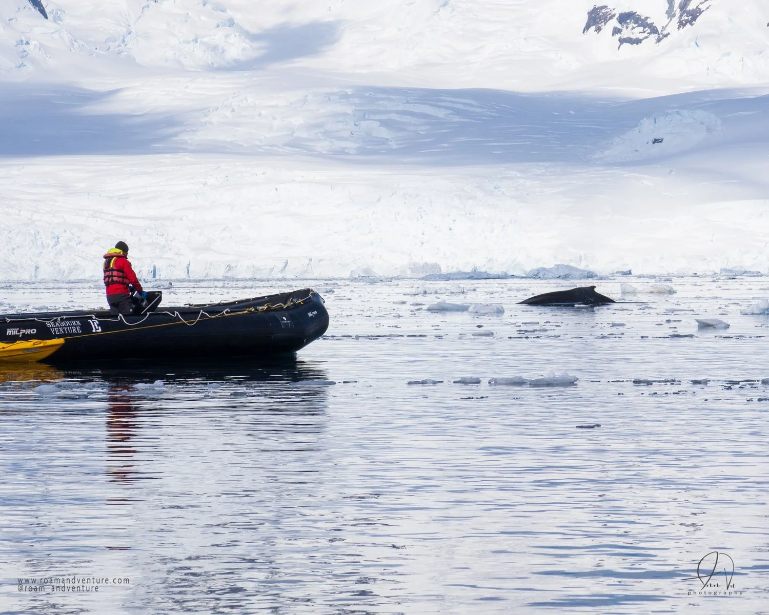 roamandventure.com antarctica expedition cruise humpback whale sighting 