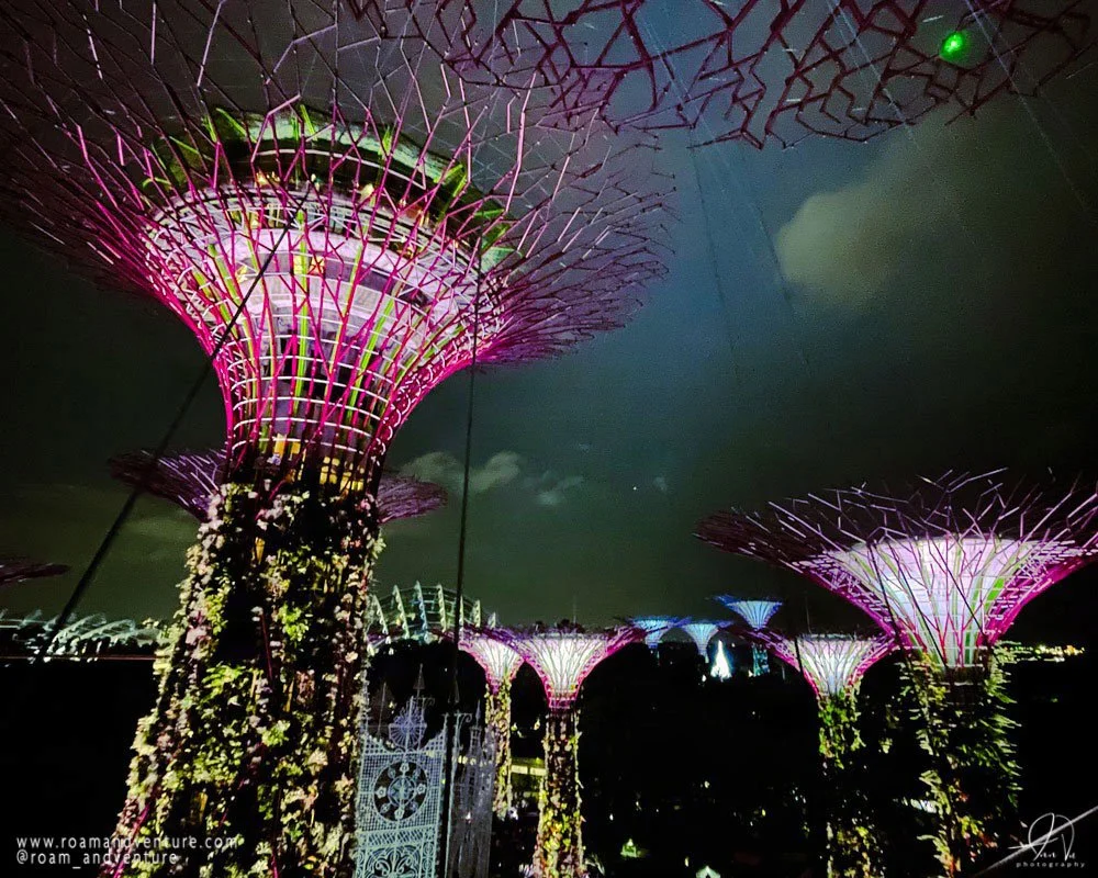 Night view of illuminated vertical garden structures resembling trees with pink and green lights.
