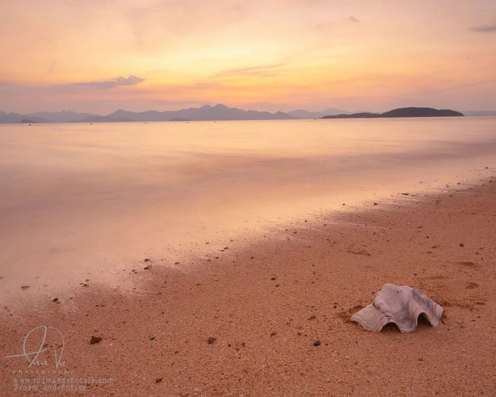 coron beach seashell on sandy beach paradise in philippine island sunset sunrise coron island paradise