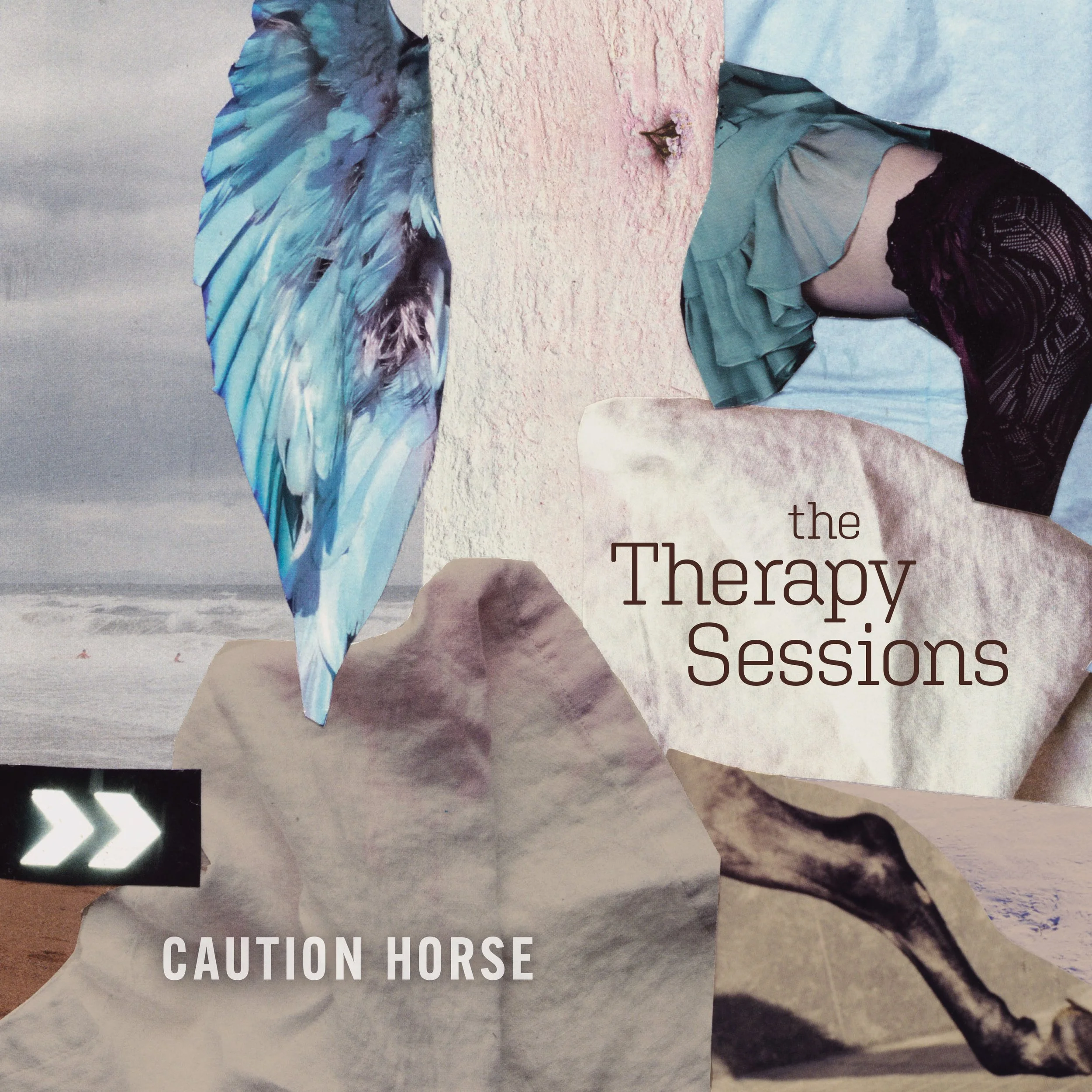 Album cover  for Caution Horse