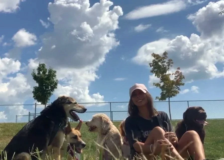 Sarah owner of Pooch and Boots sitting with her dog walking pack in Oakville Ontario