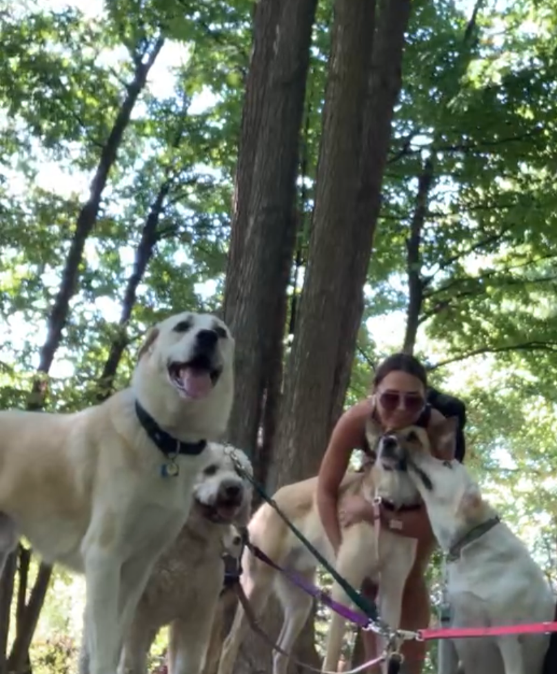 Sarah professional dog walker hugging dogs in Oakville Ontario Pooch and Boots
